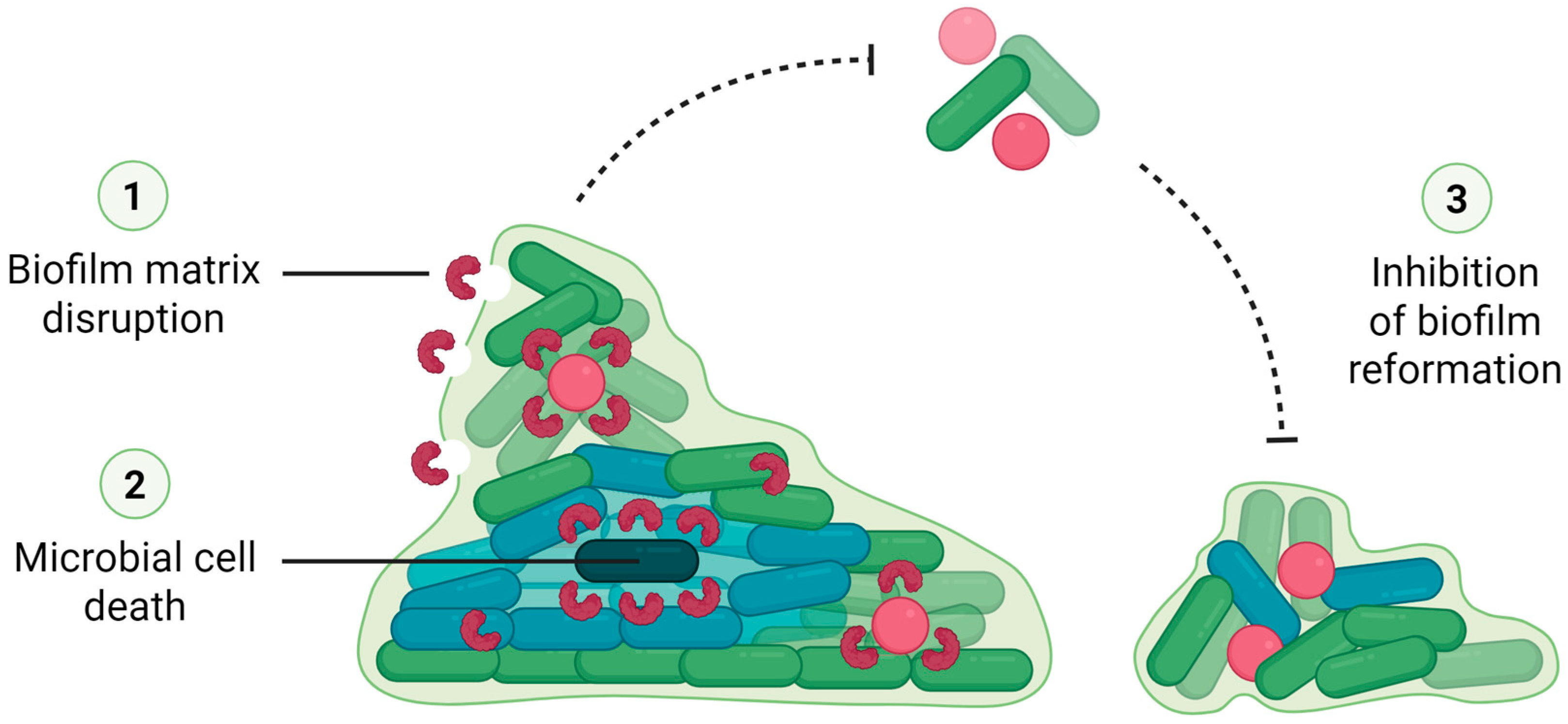 Molecules 30 03395 g003 Molecules 30 03395 g003