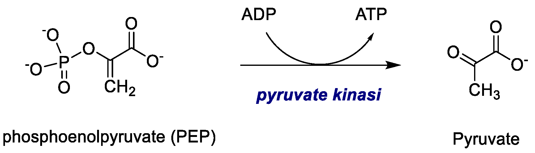 Molecules 30 03457 g005 Molecules 30 03457 g005