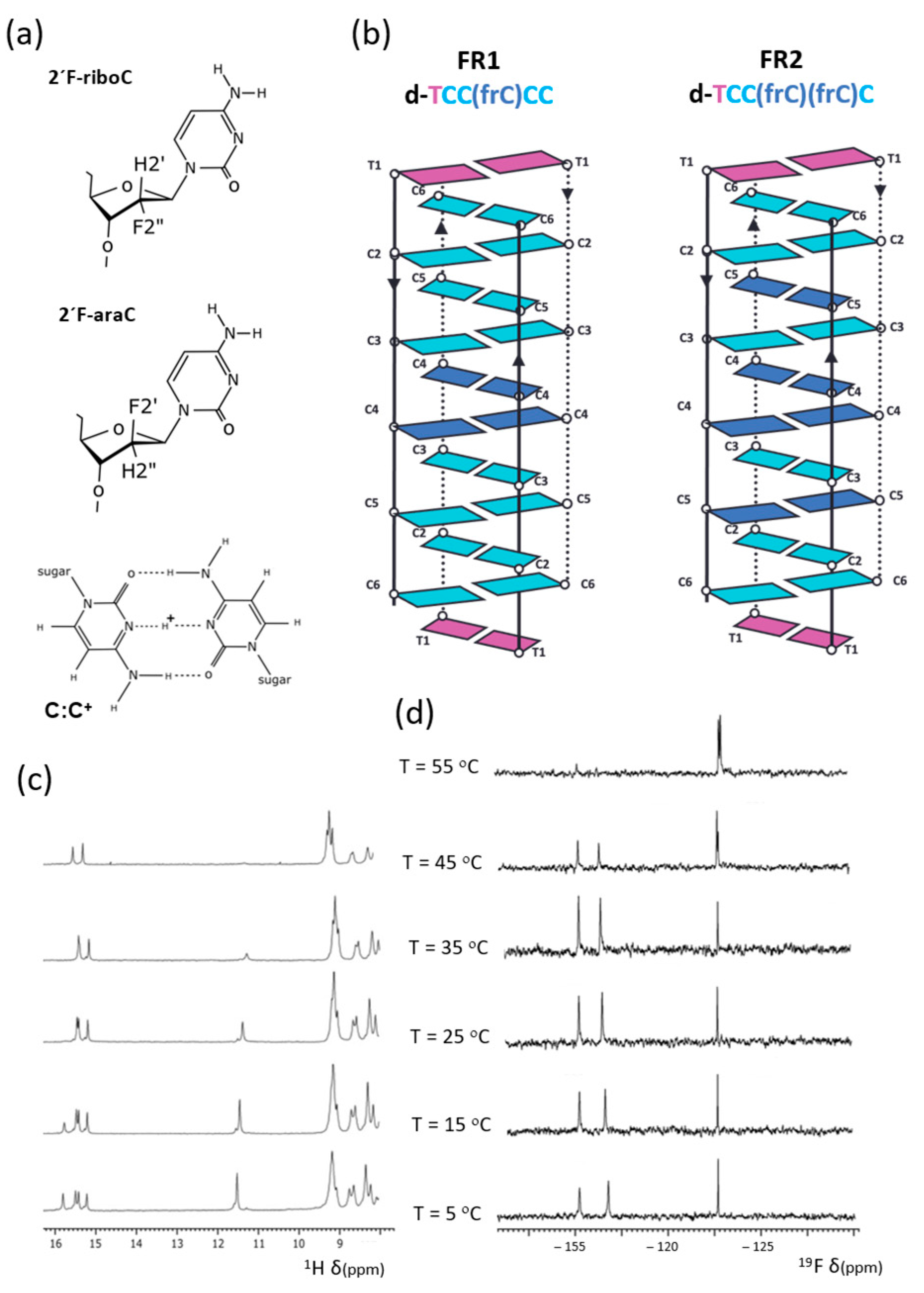 Molecules 30 03561 g001 Molecules 30 03561 g001