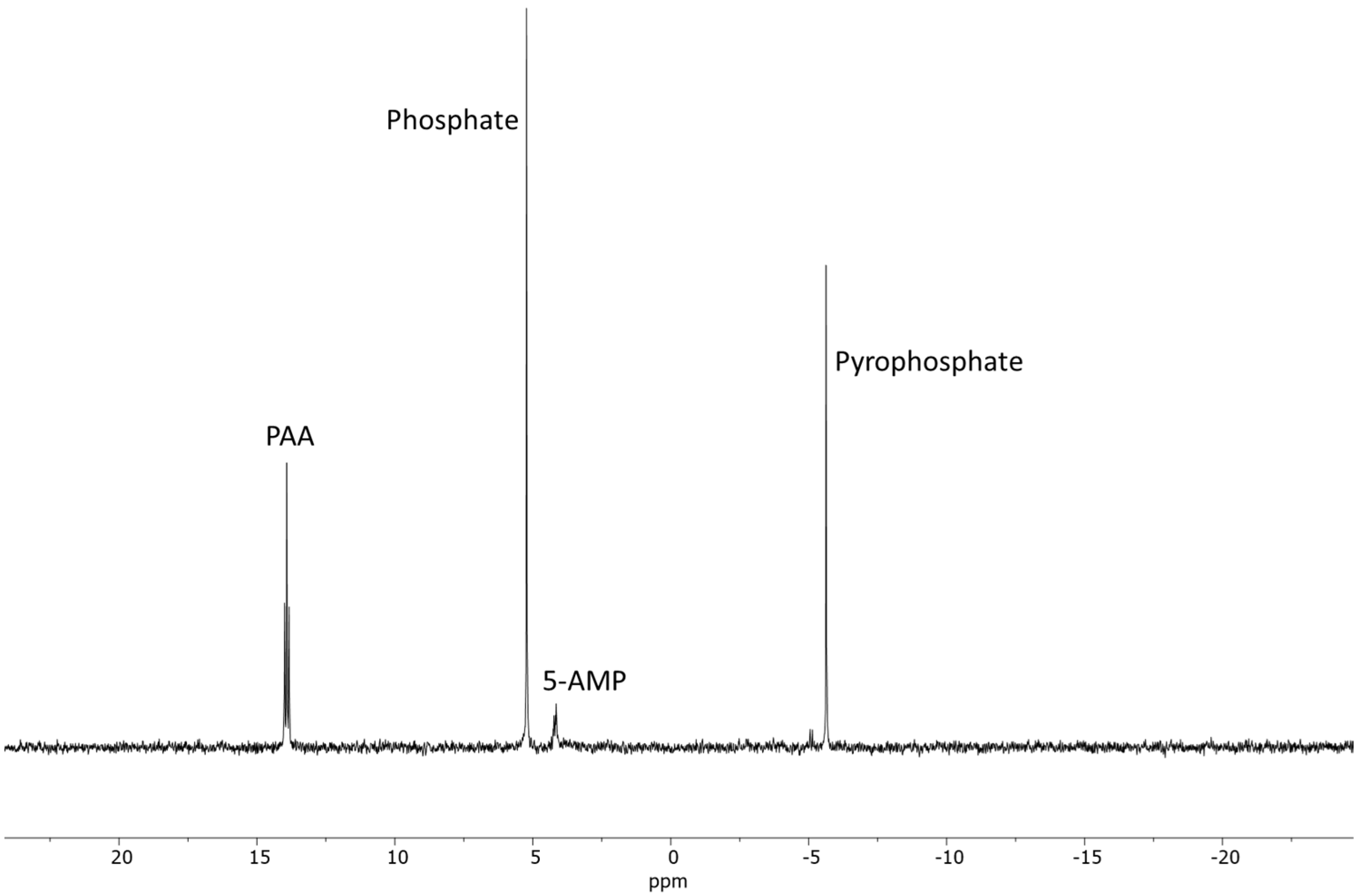 Molecules 30 03587 g003 Molecules 30 03587 g003