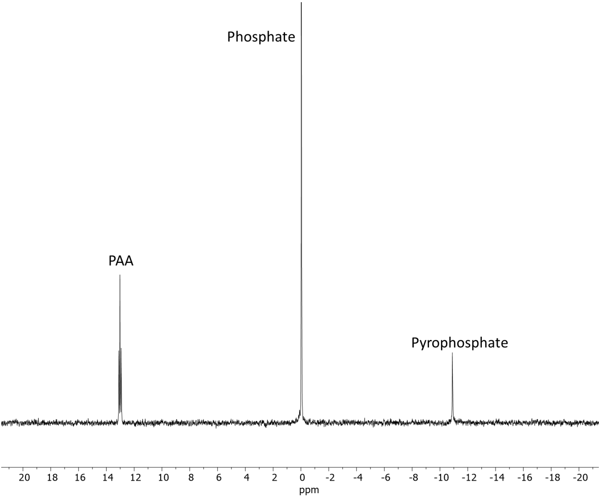 Molecules 30 03587 g005 Molecules 30 03587 g005
