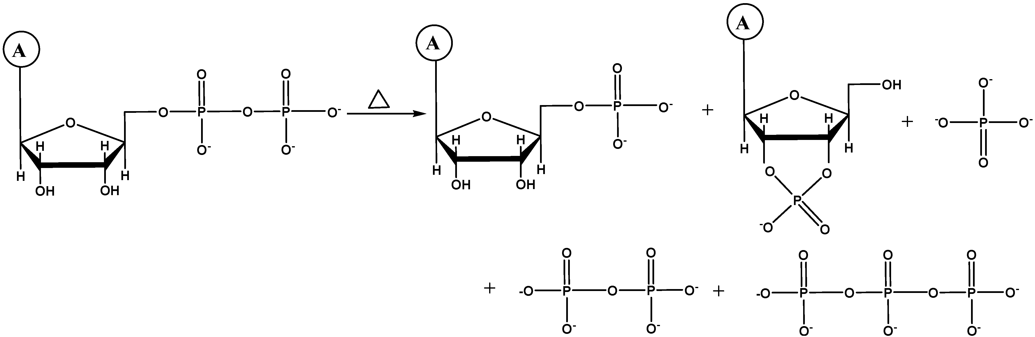 Molecules 30 03587 sch002 Molecules 30 03587 sch002