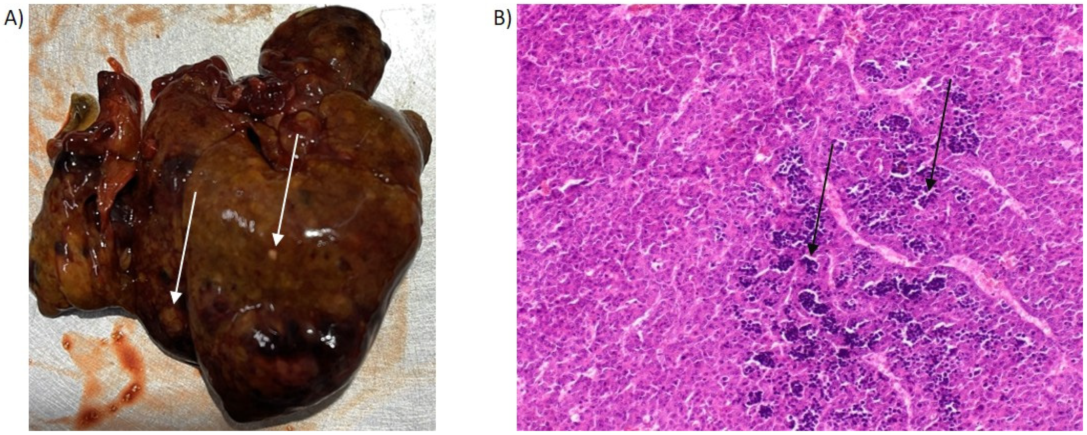 Molecules 30 03657 g001 Molecules 30 03657 g001