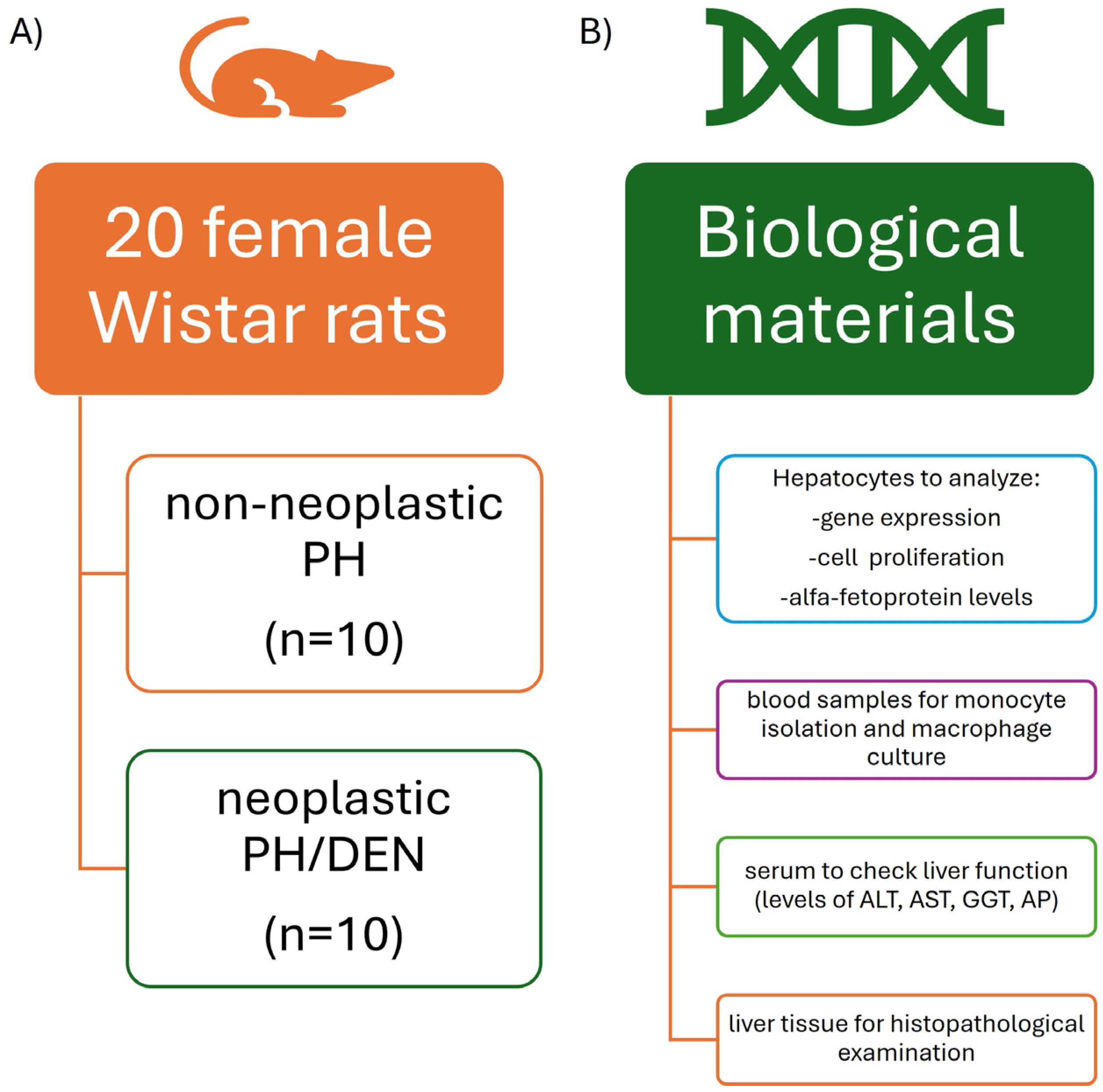 Molecules 30 03657 g007 Molecules 30 03657 g007
