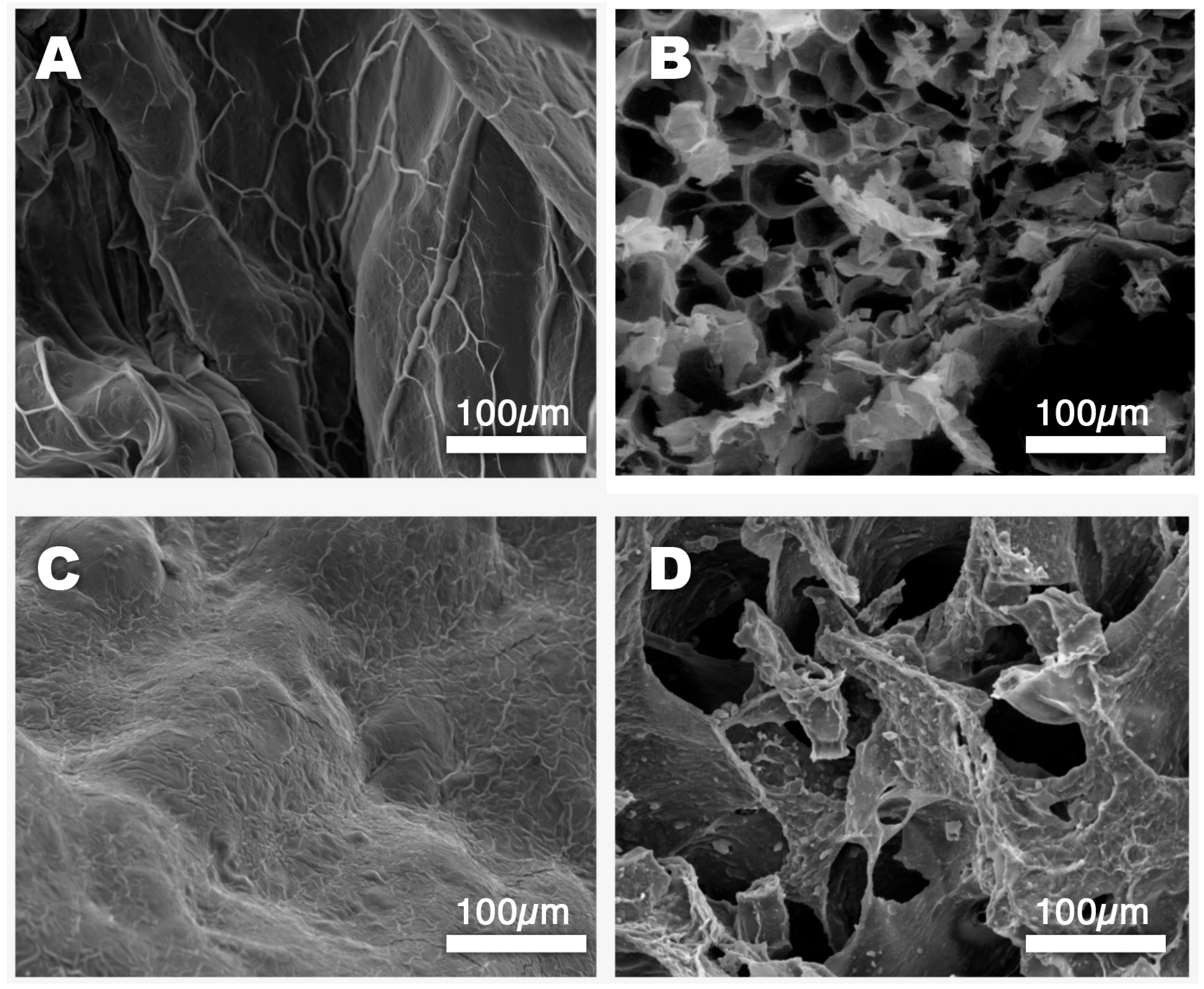 Molecules 30 03660 g003 Molecules 30 03660 g003