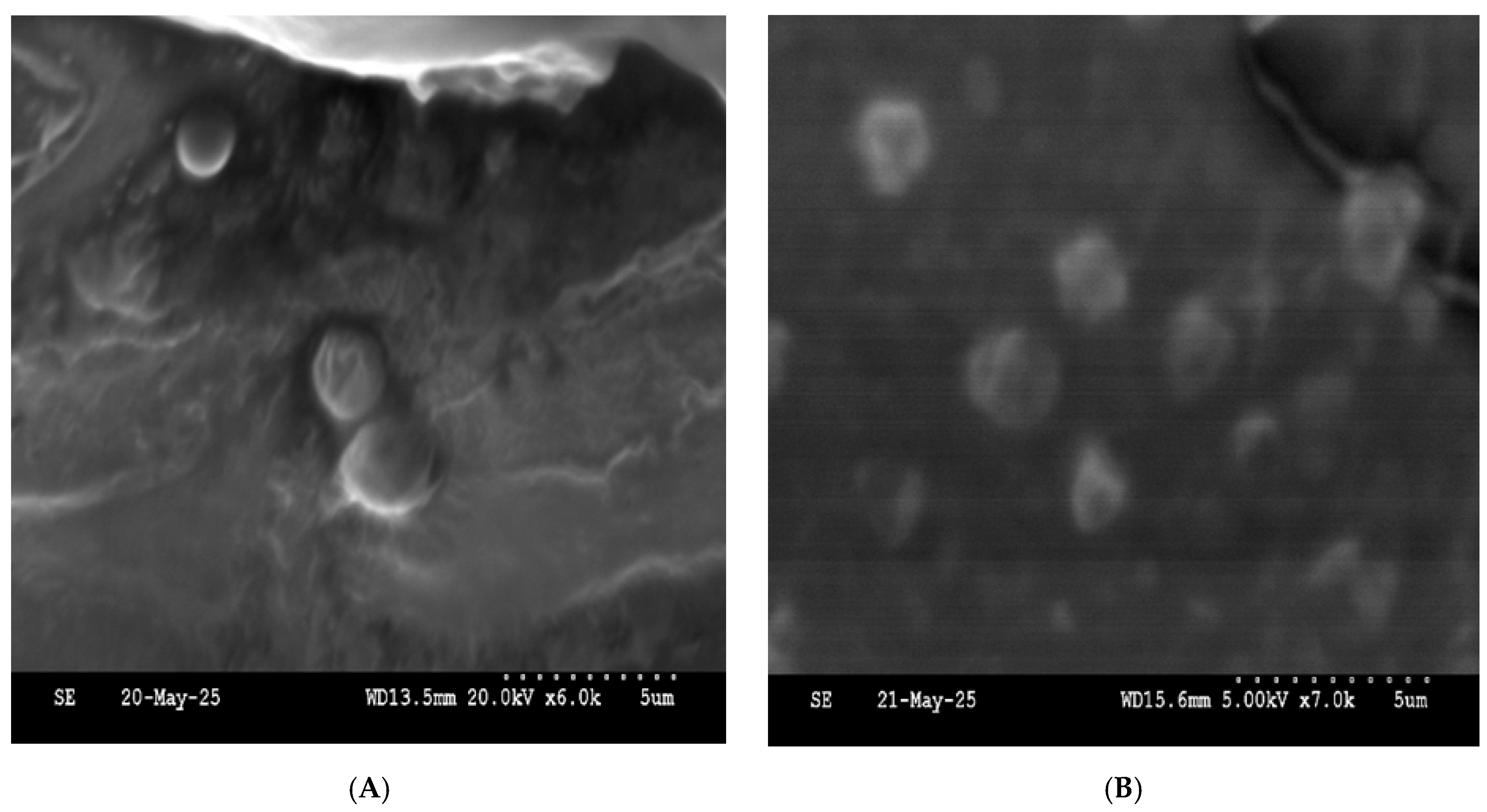 Molecules 30 03715 g006 Molecules 30 03715 g006