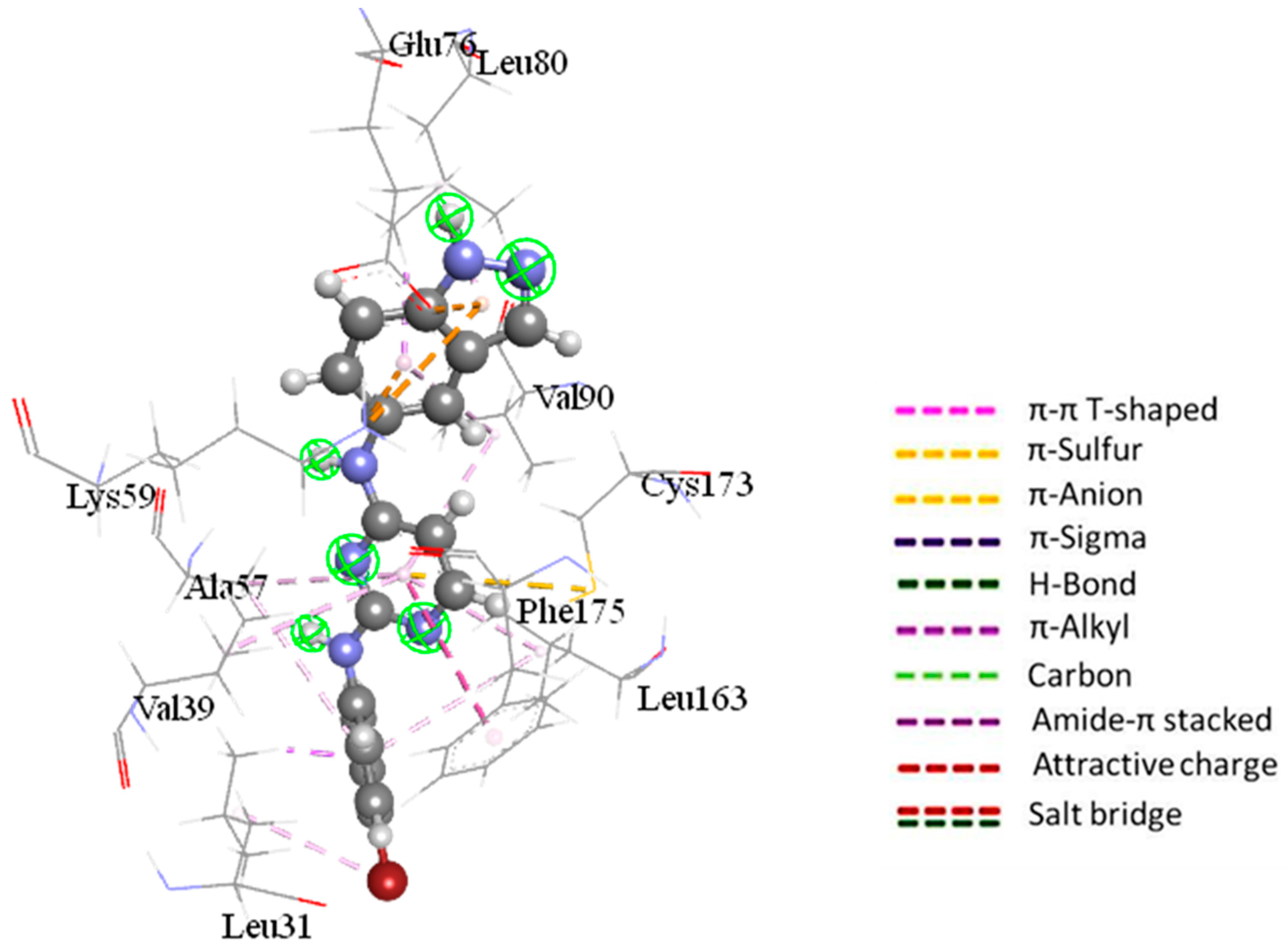 Molecules 30 03773 g005 Molecules 30 03773 g005