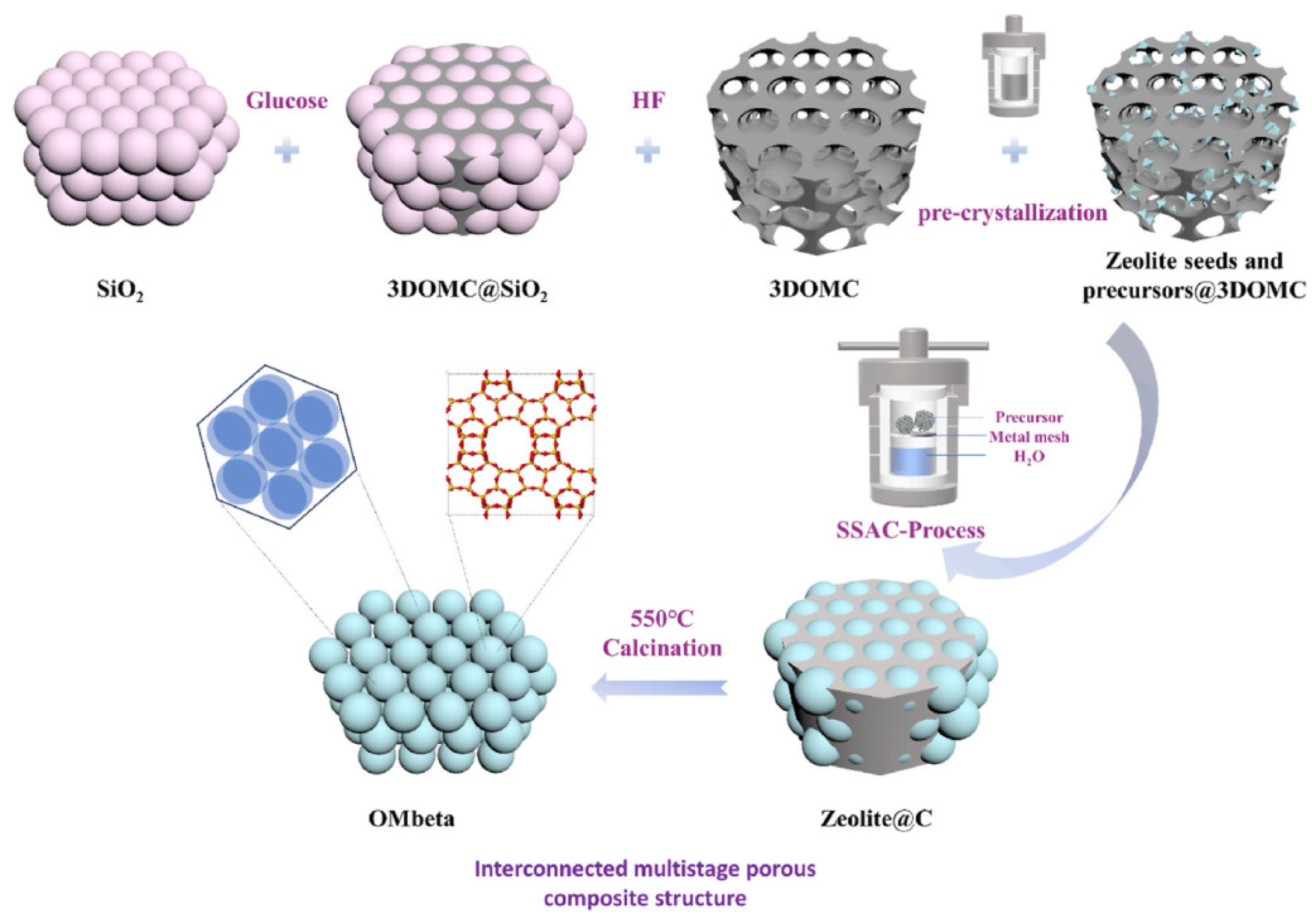 Molecules 30 03798 g006 Molecules 30 03798 g006