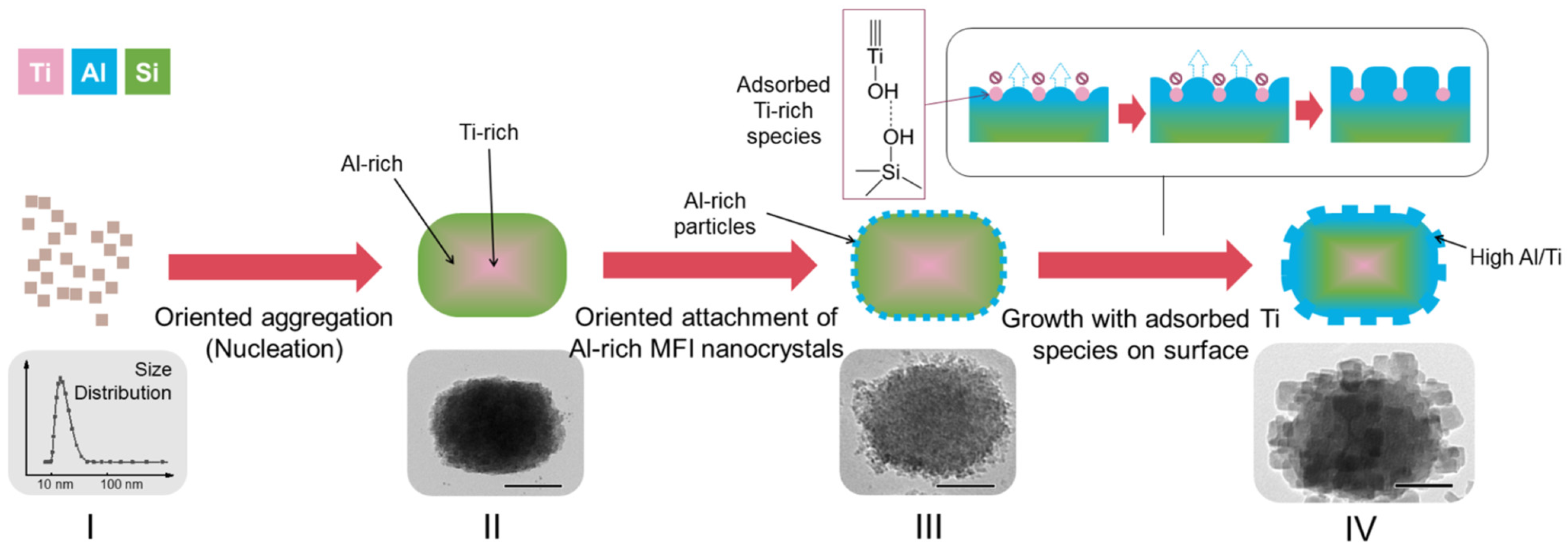 Molecules 30 03798 g007 Molecules 30 03798 g007