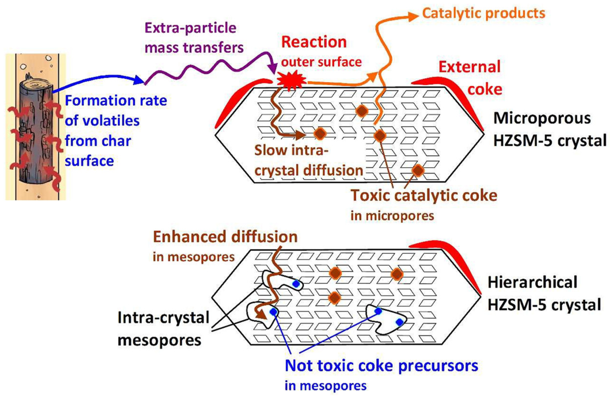 Molecules 30 03798 g010 Molecules 30 03798 g010