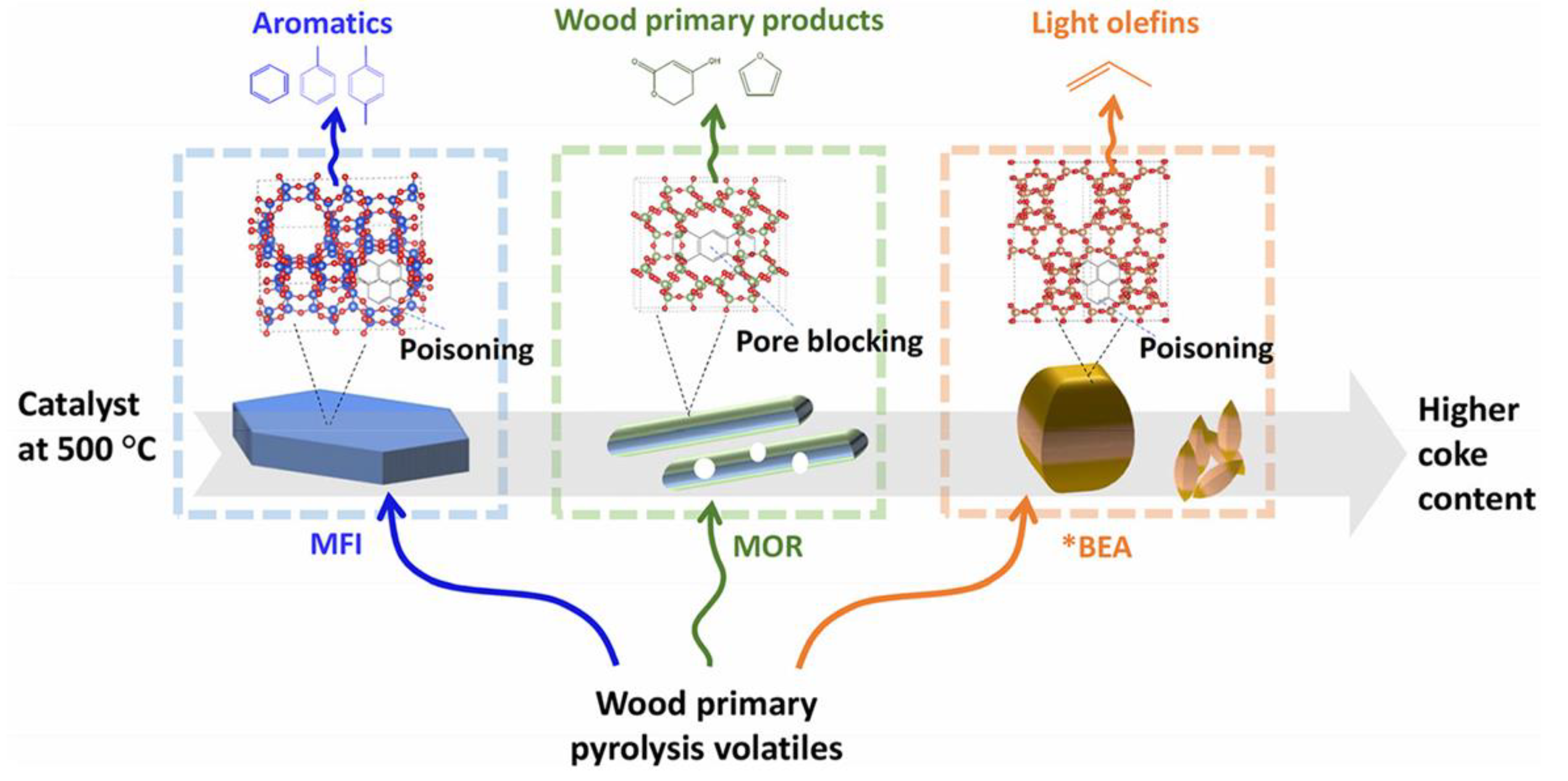 Molecules 30 03798 g011 Molecules 30 03798 g011