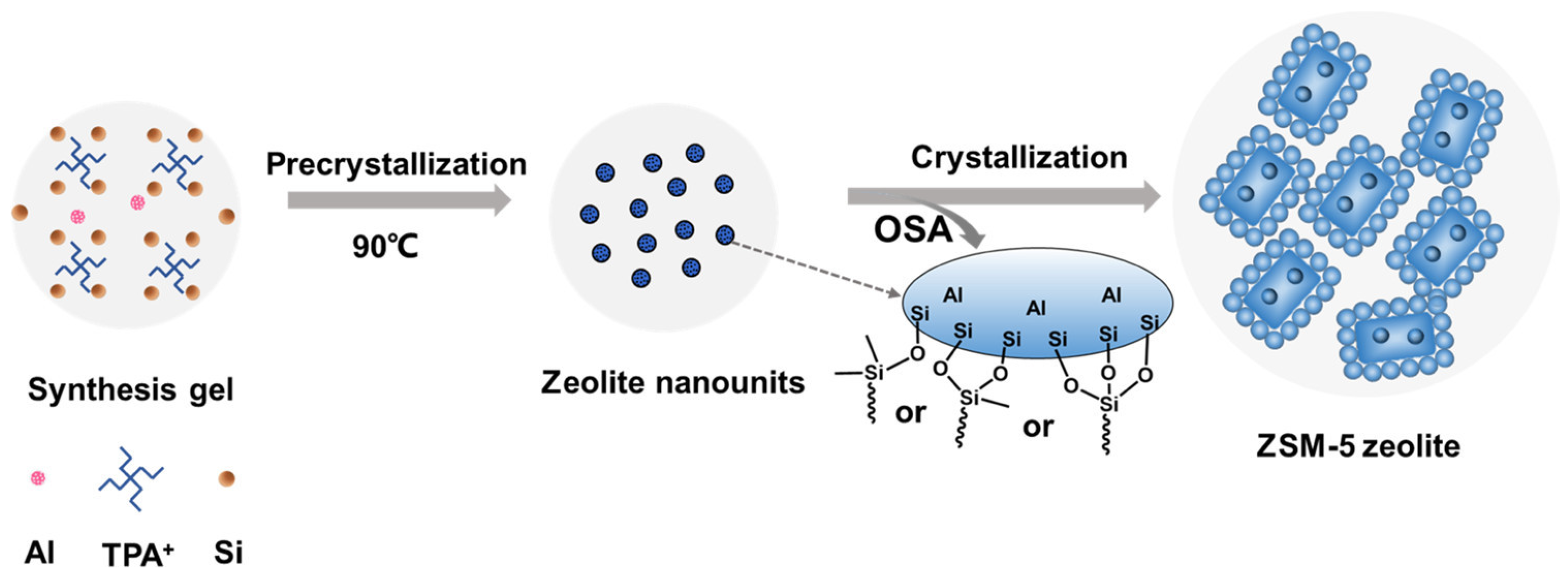 Molecules 30 03798 g012 Molecules 30 03798 g012