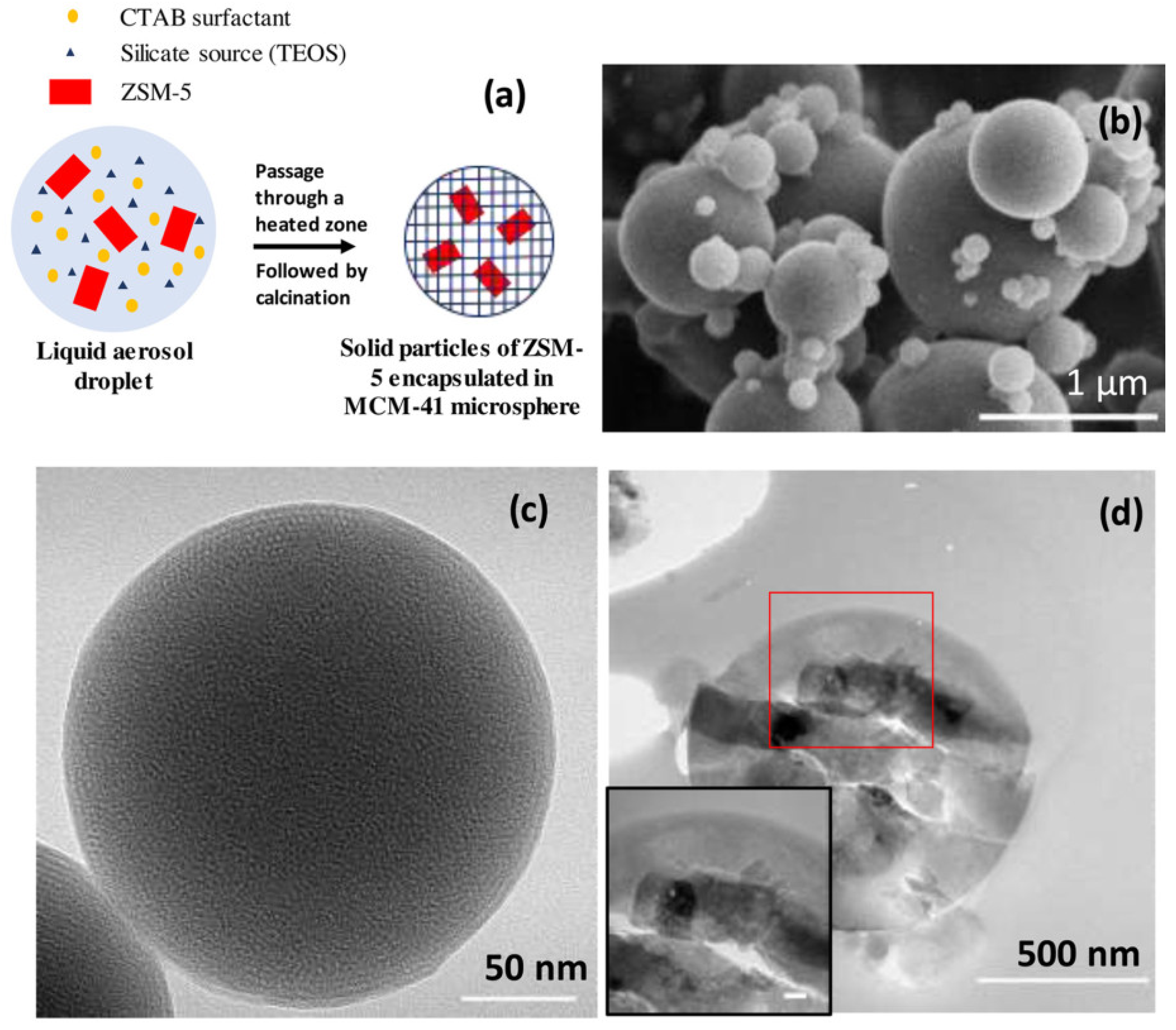Molecules 30 03798 g014 Molecules 30 03798 g014