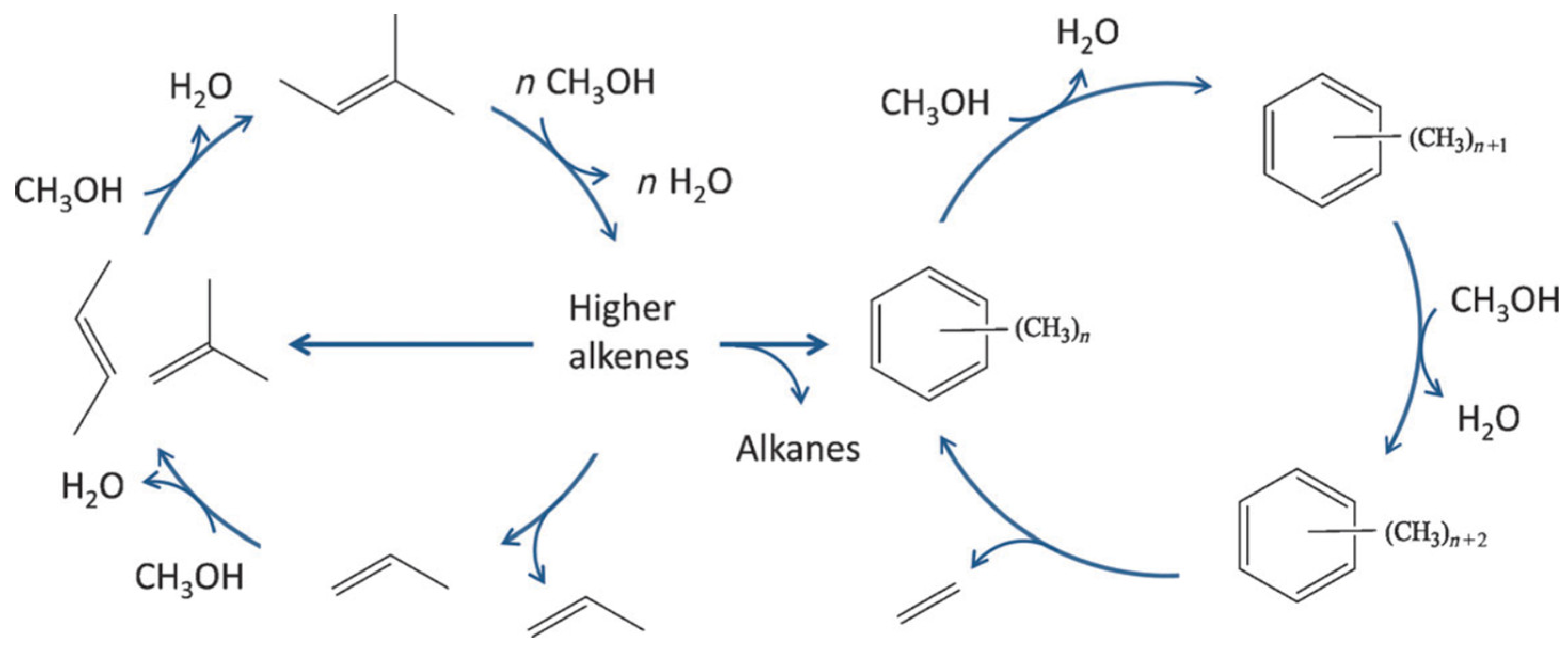 Molecules 30 03798 g017 Molecules 30 03798 g017