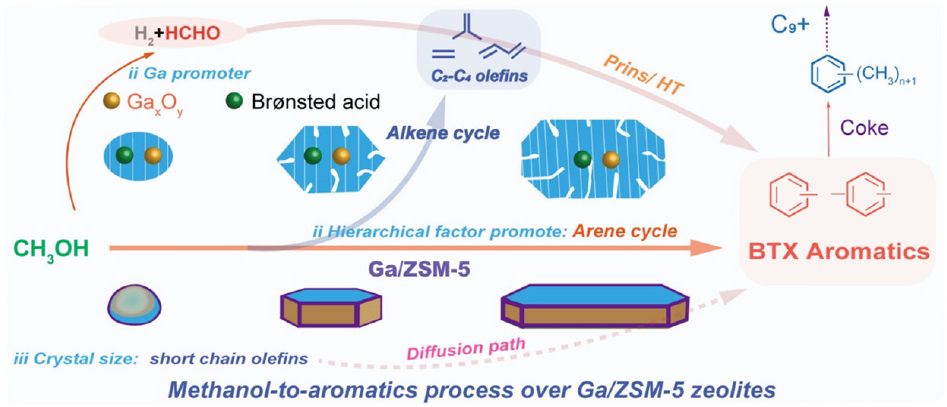 Molecules 30 03798 g021 Molecules 30 03798 g021