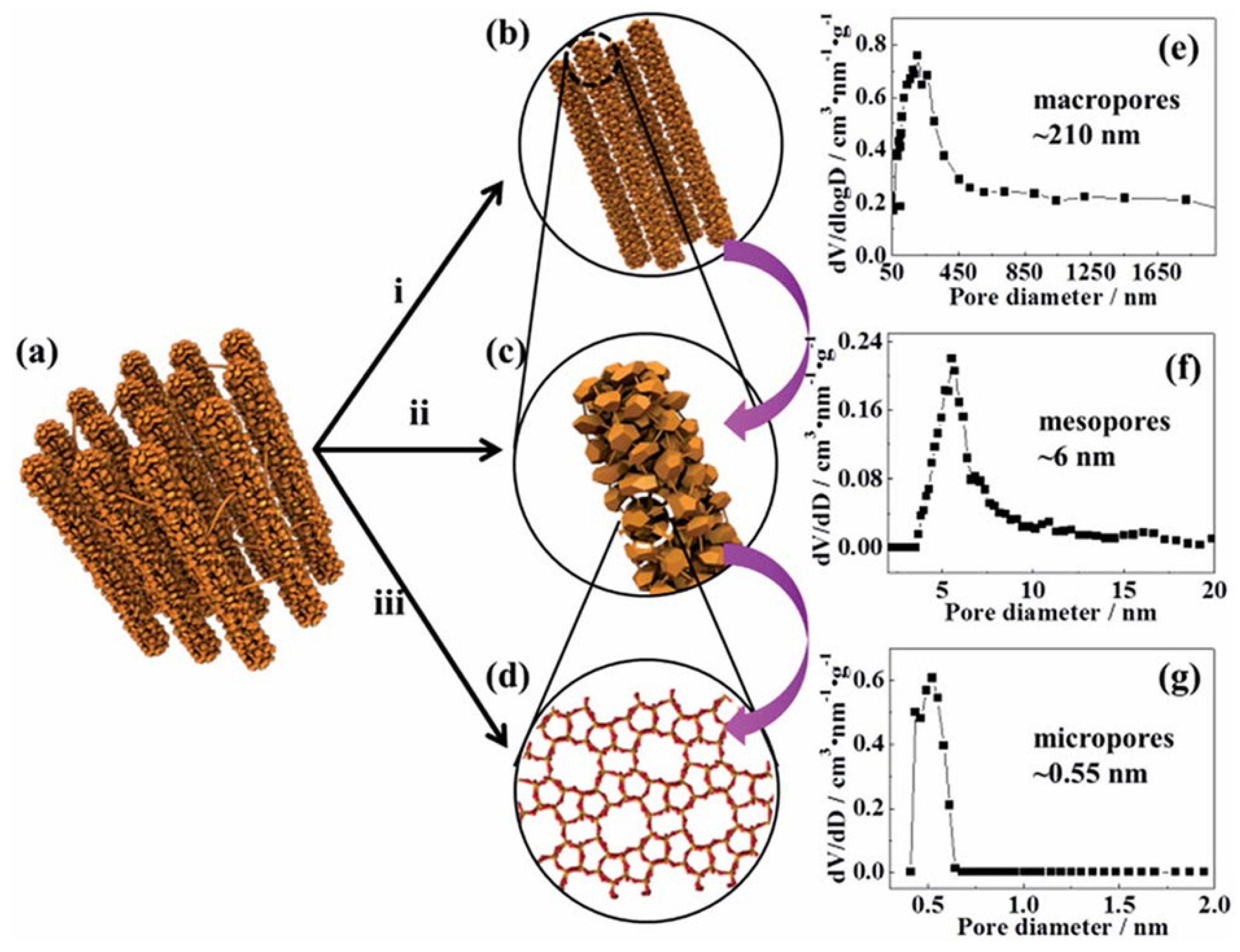 Molecules 30 03798 g022 Molecules 30 03798 g022