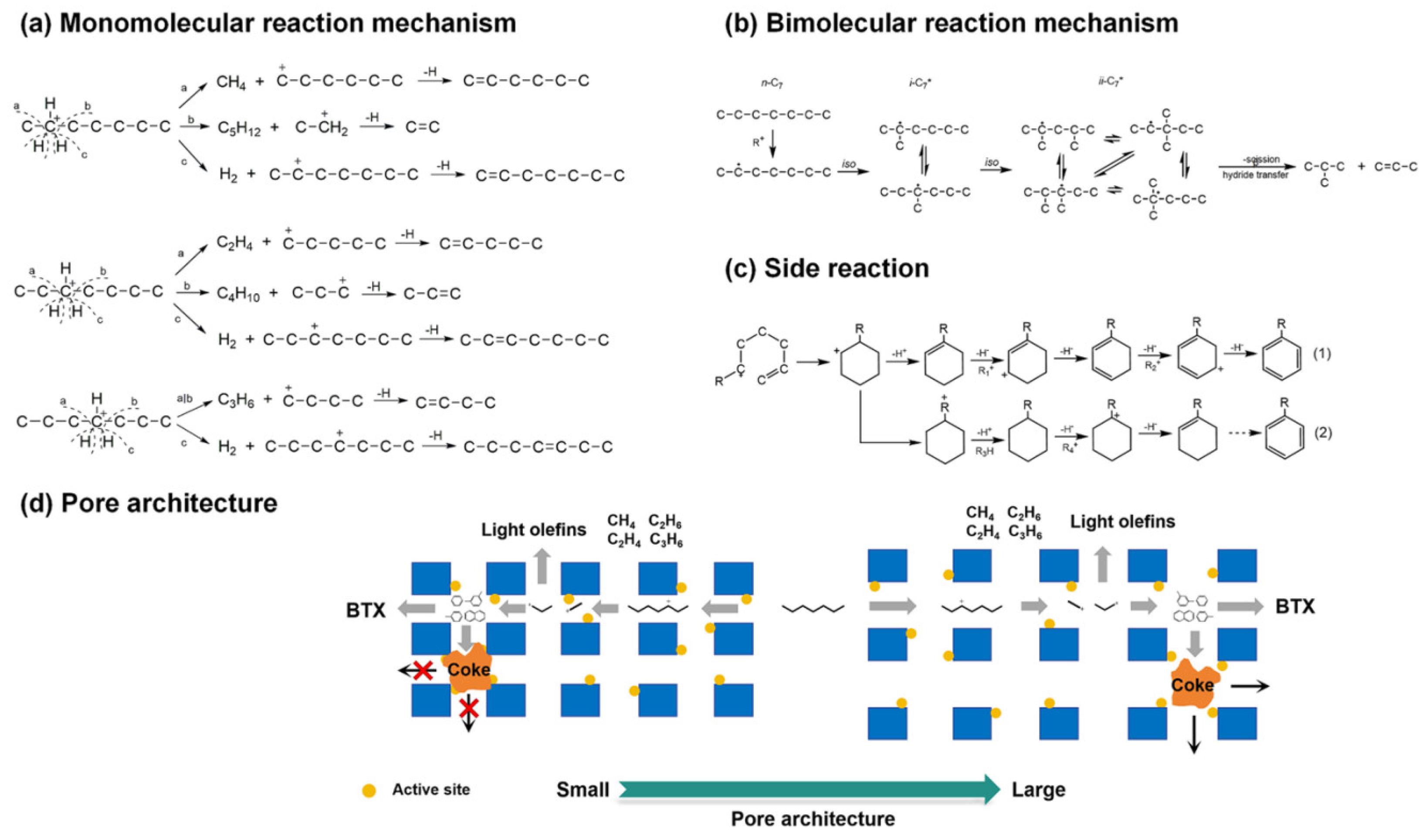 Molecules 30 03798 g024 Molecules 30 03798 g024