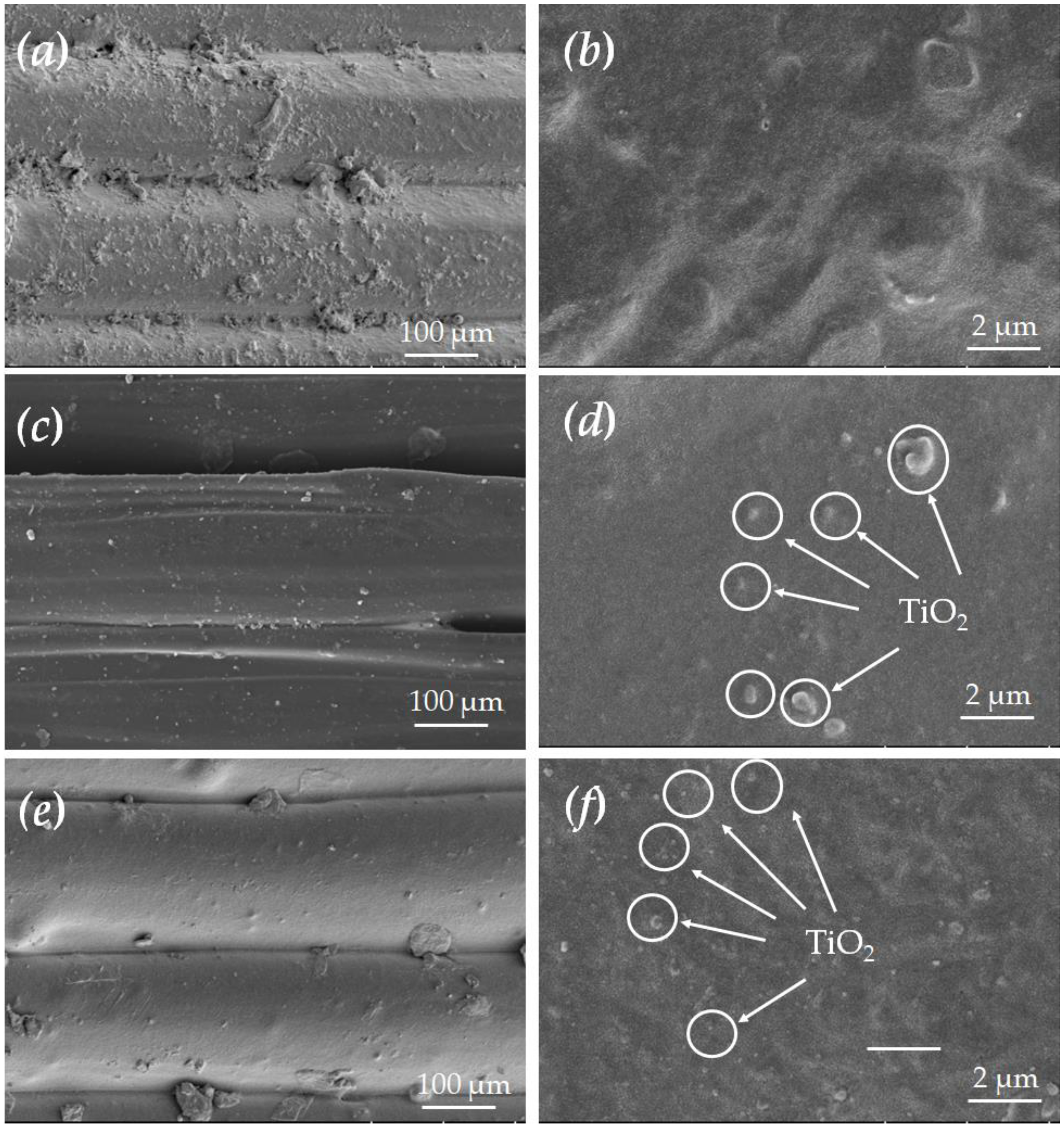 Molecules 30 03891 g003 Molecules 30 03891 g003
