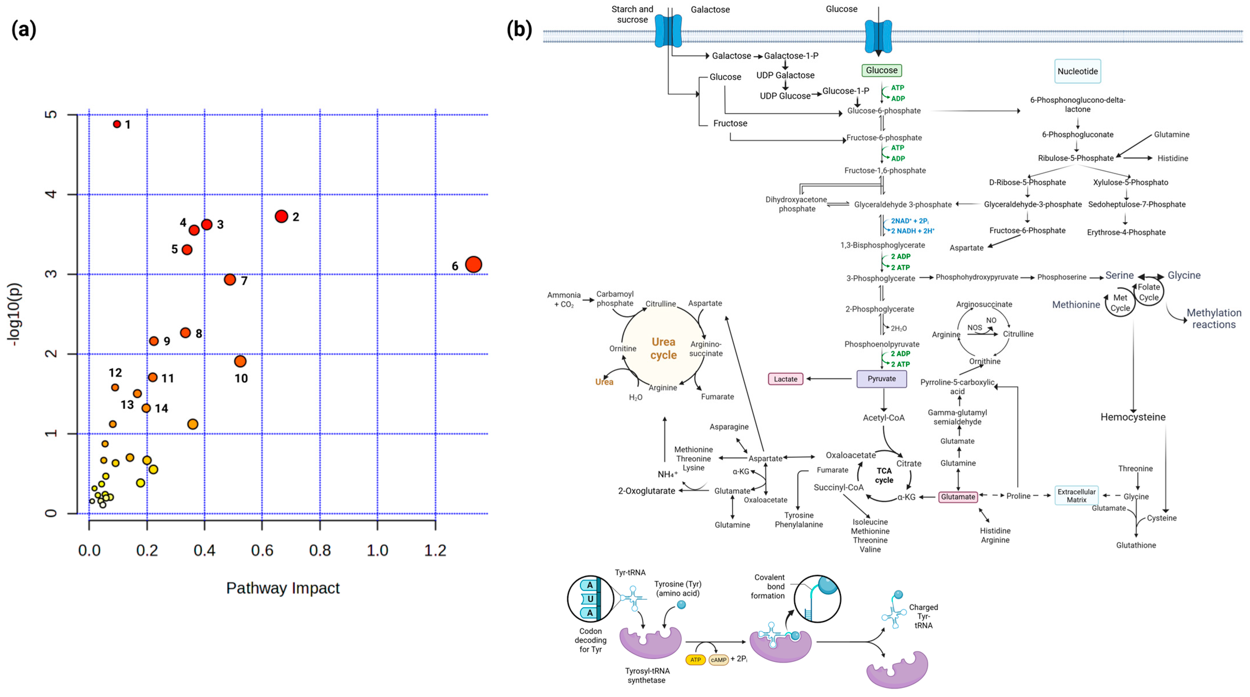Molecules 30 03909 g008 Molecules 30 03909 g008