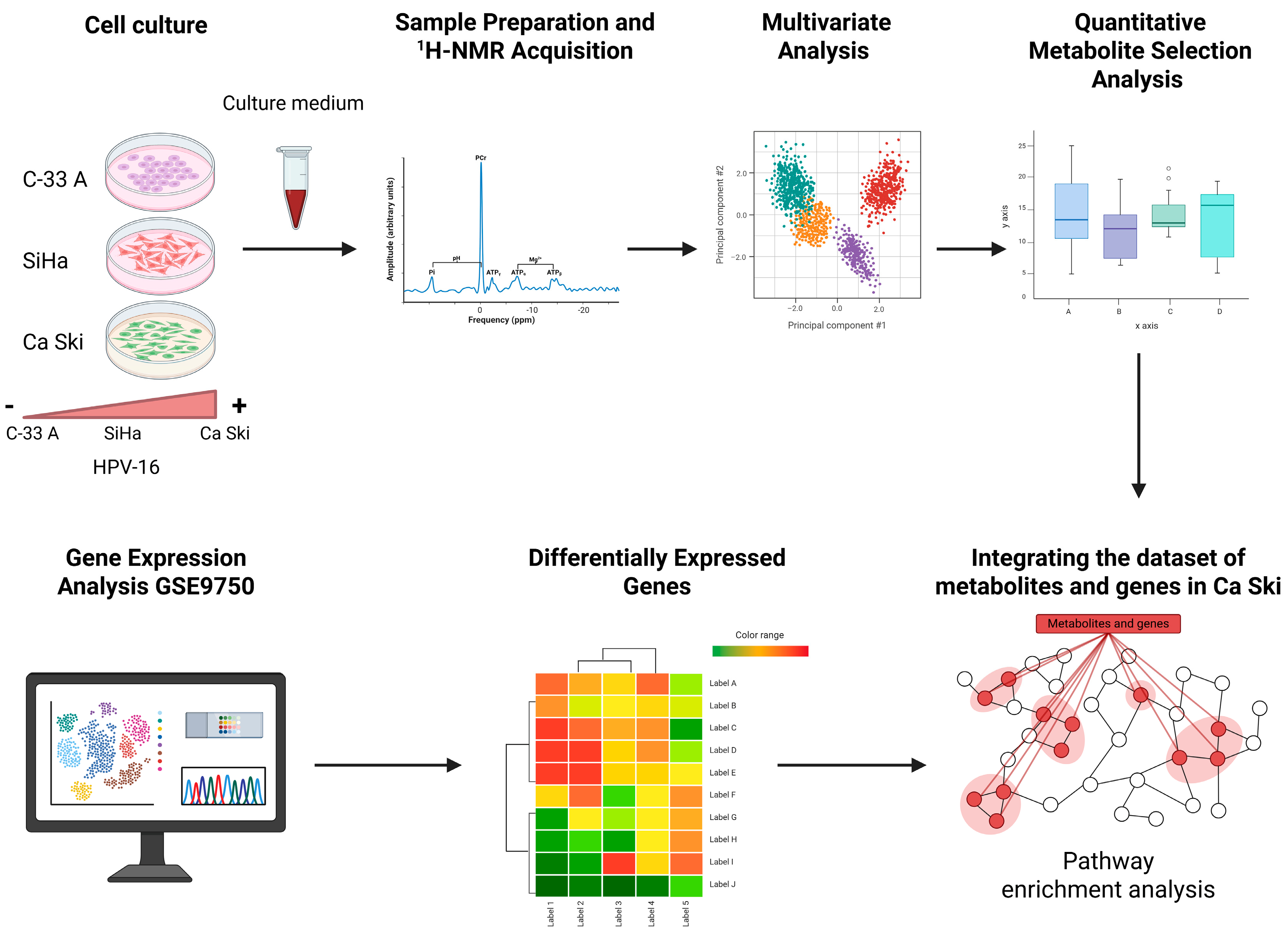 Molecules 30 03909 g009 Molecules 30 03909 g009