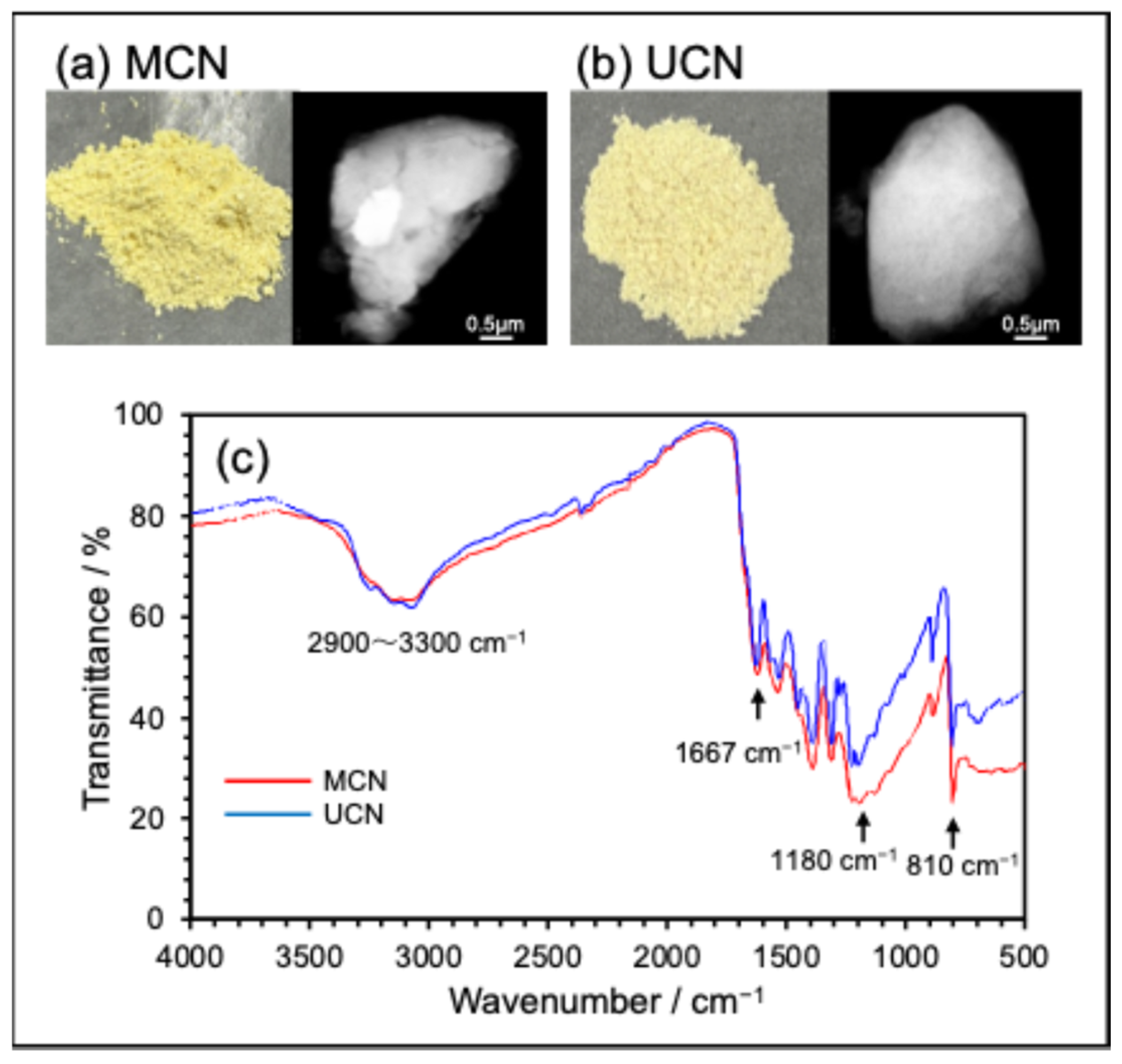 Molecules 30 03951 g001 Molecules 30 03951 g001