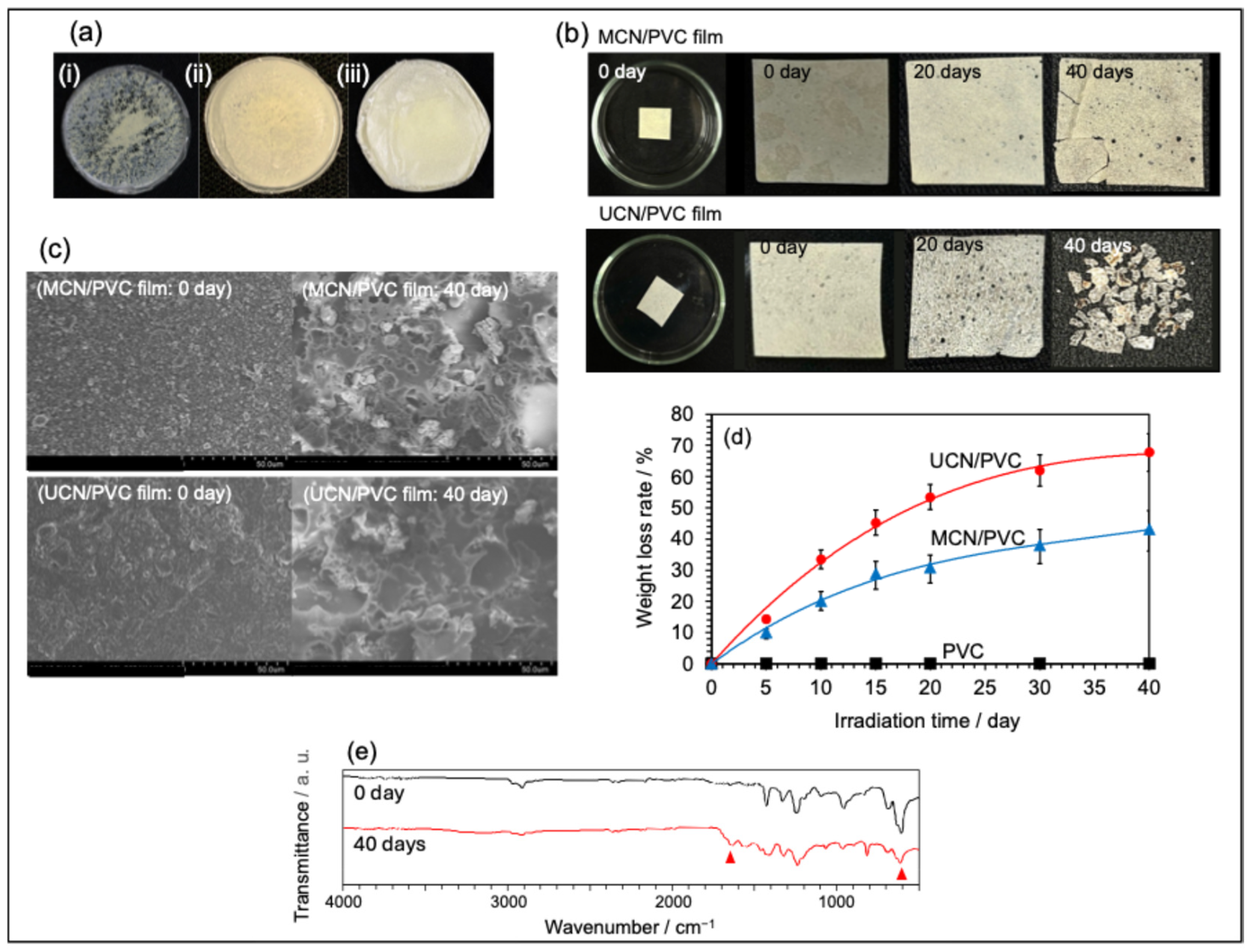Molecules 30 03951 g003 Molecules 30 03951 g003