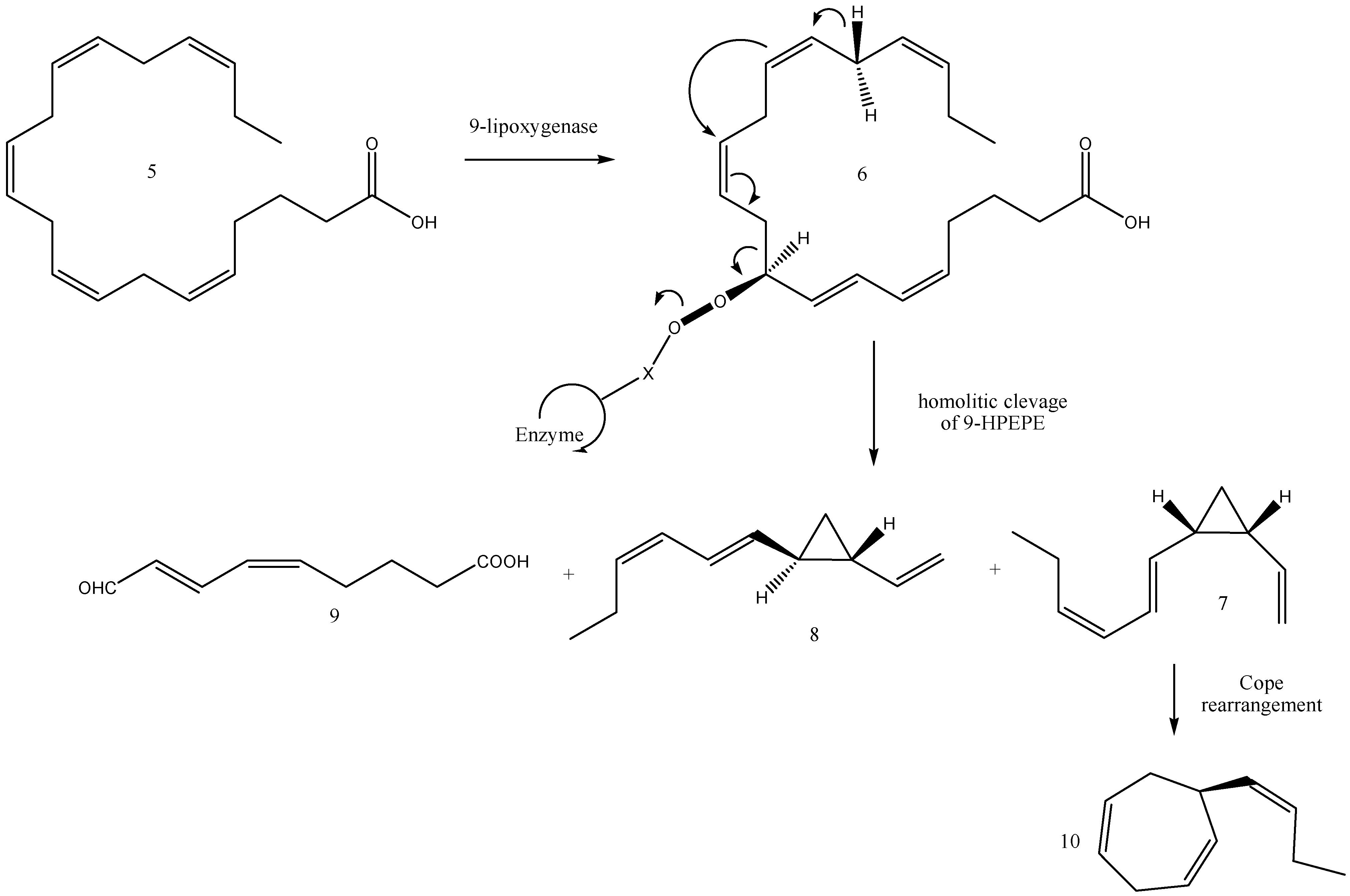 Molecules 30 03987 g006 Molecules 30 03987 g006