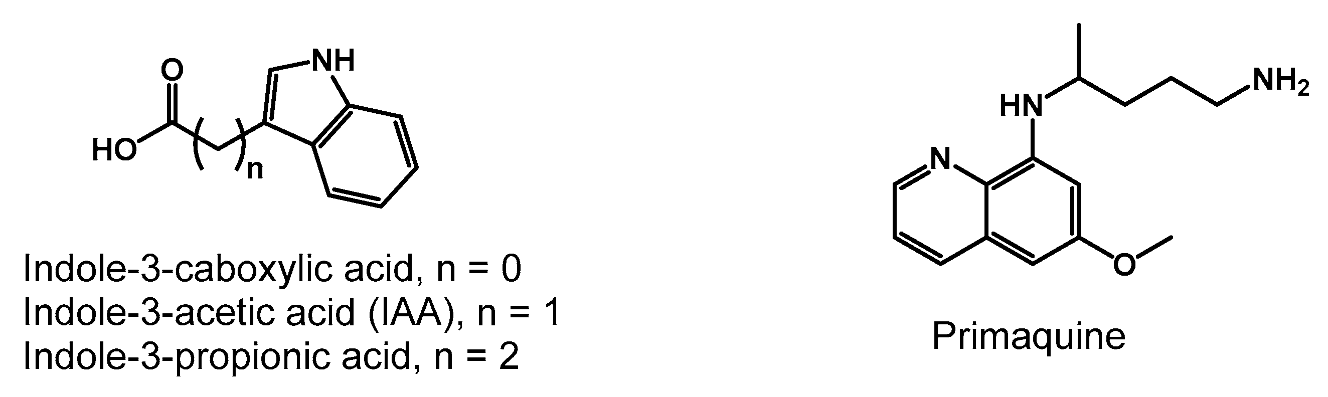 Molecules 30 03988 g001 Molecules 30 03988 g001