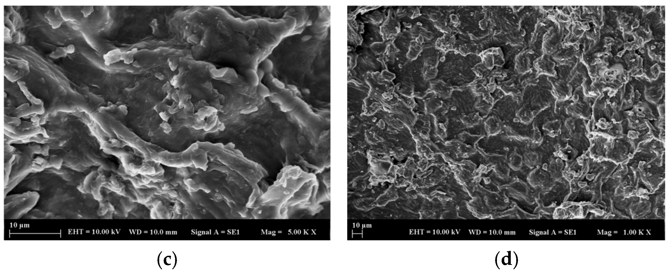 Molecules 30 04039 g001b Molecules 30 04039 g001b