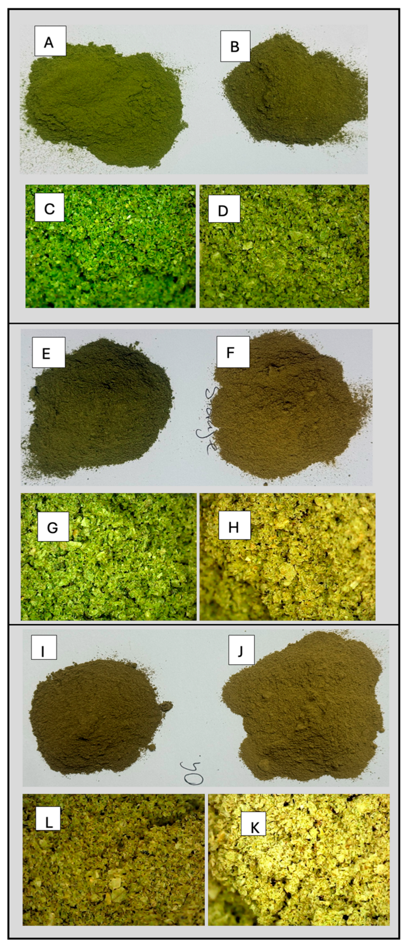 Molecules 30 04048 g003 Molecules 30 04048 g003