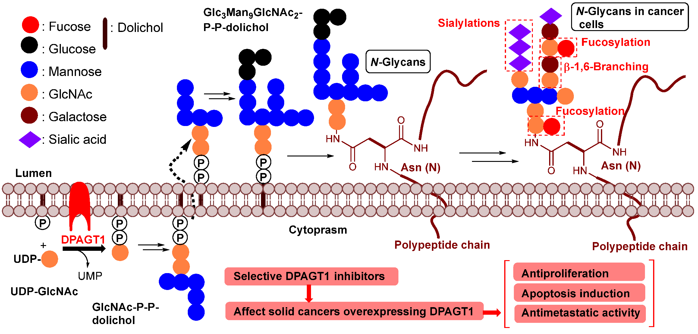 Molecules 30 04049 g002 Molecules 30 04049 g002