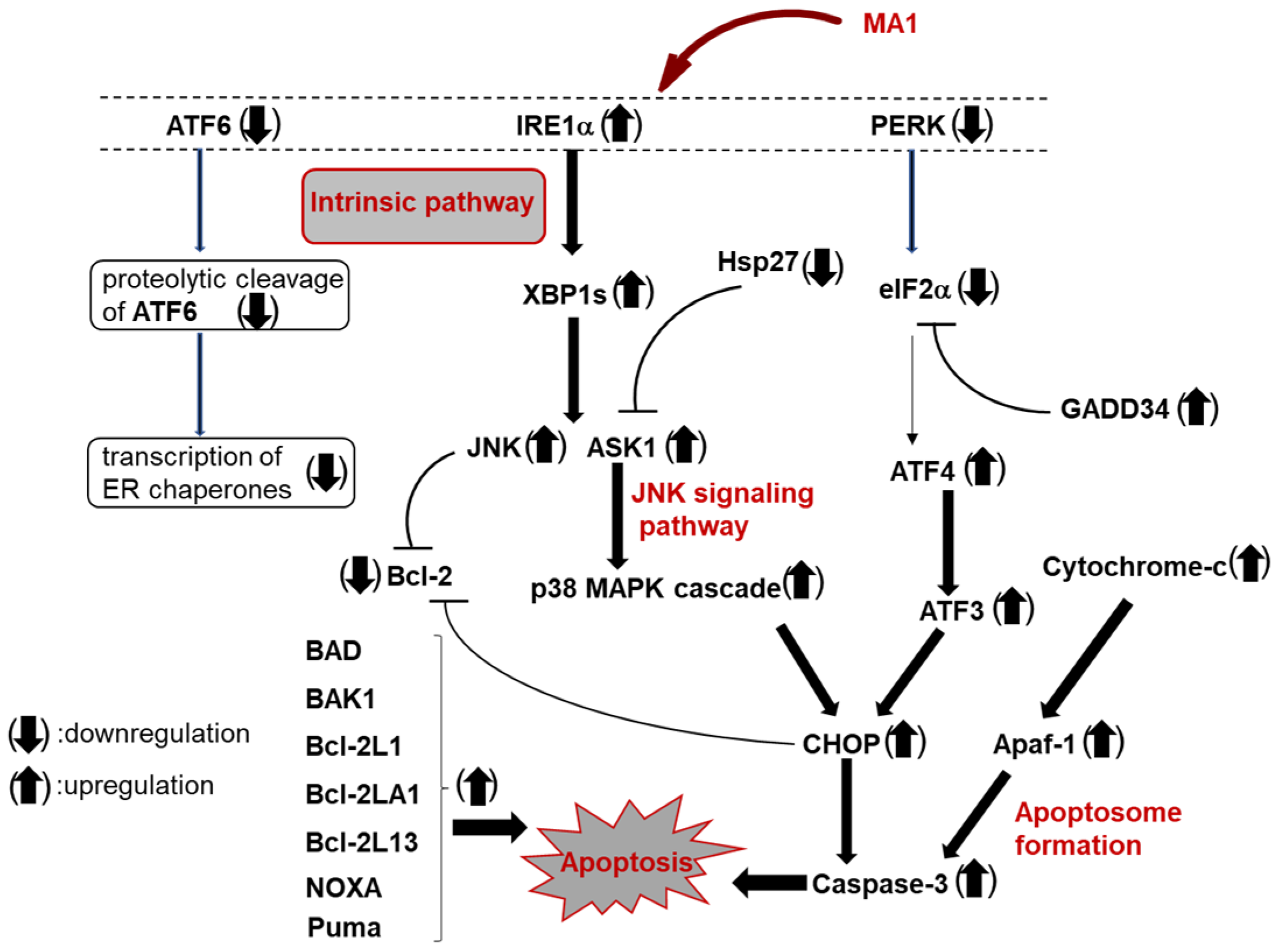 Molecules 30 04049 g004 Molecules 30 04049 g004