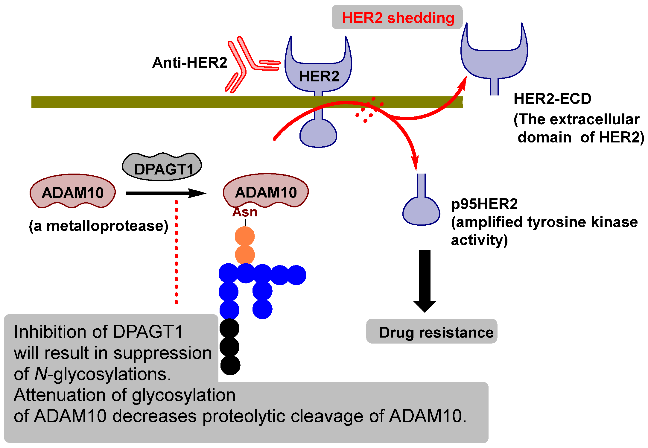 Molecules 30 04049 g006 Molecules 30 04049 g006