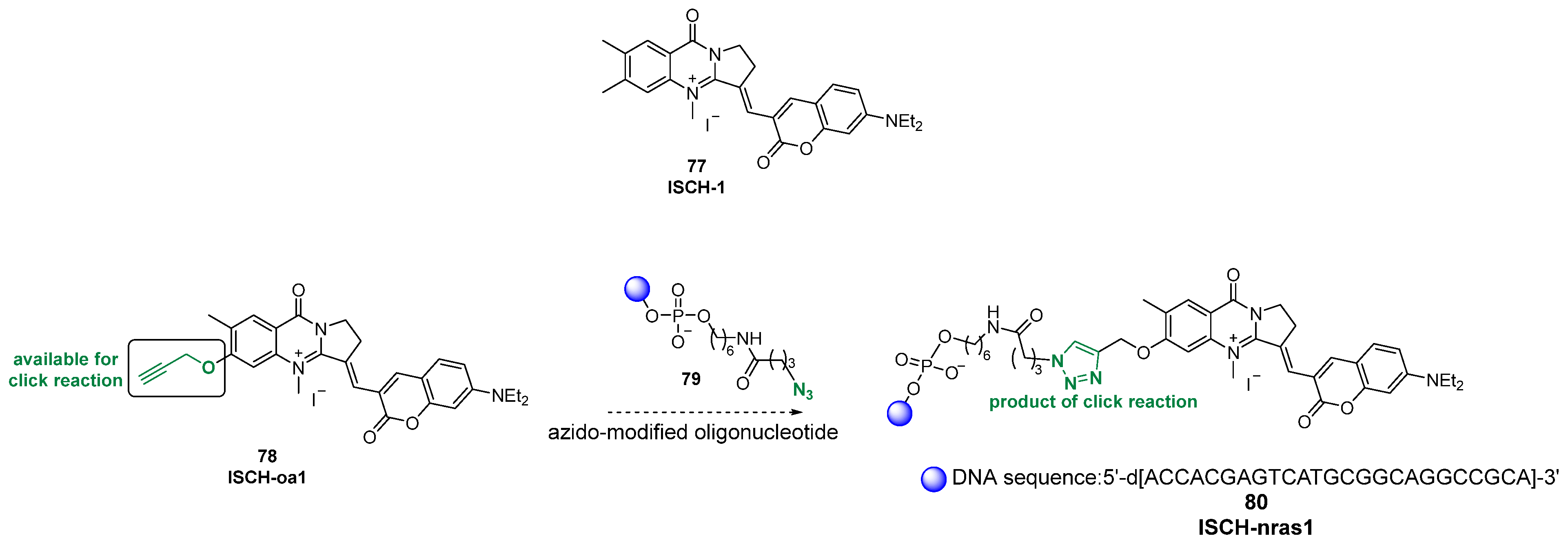 Molecules 30 04099 g041 Molecules 30 04099 g041