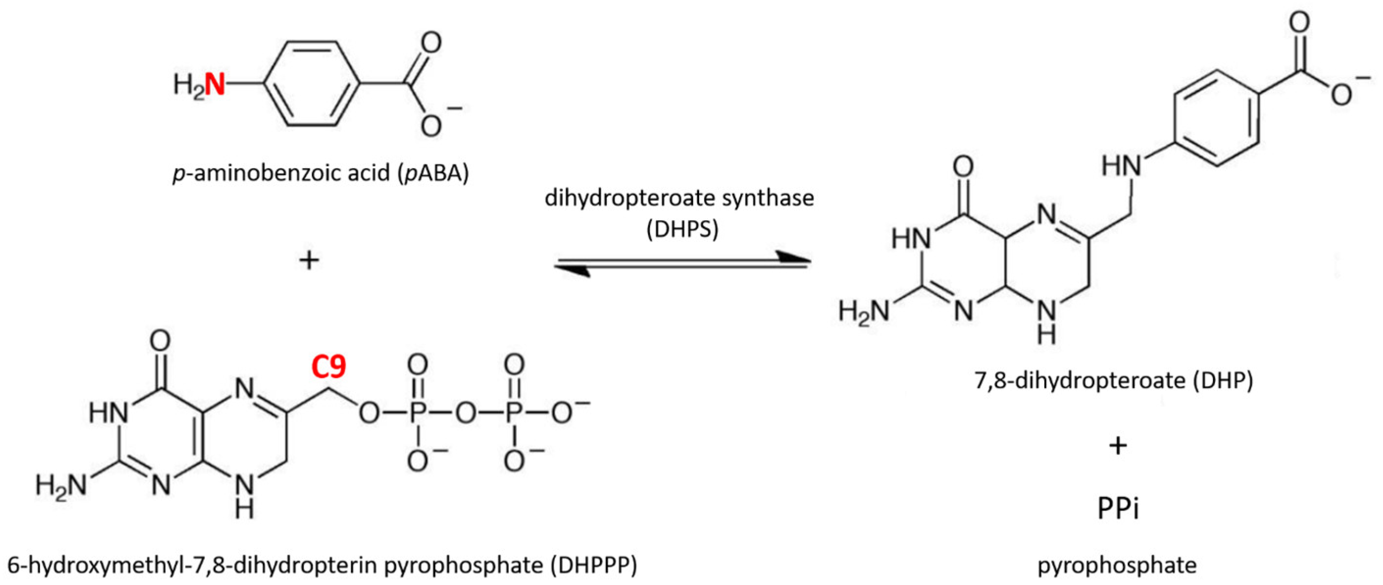 Molecules 30 04118 g001 Molecules 30 04118 g001