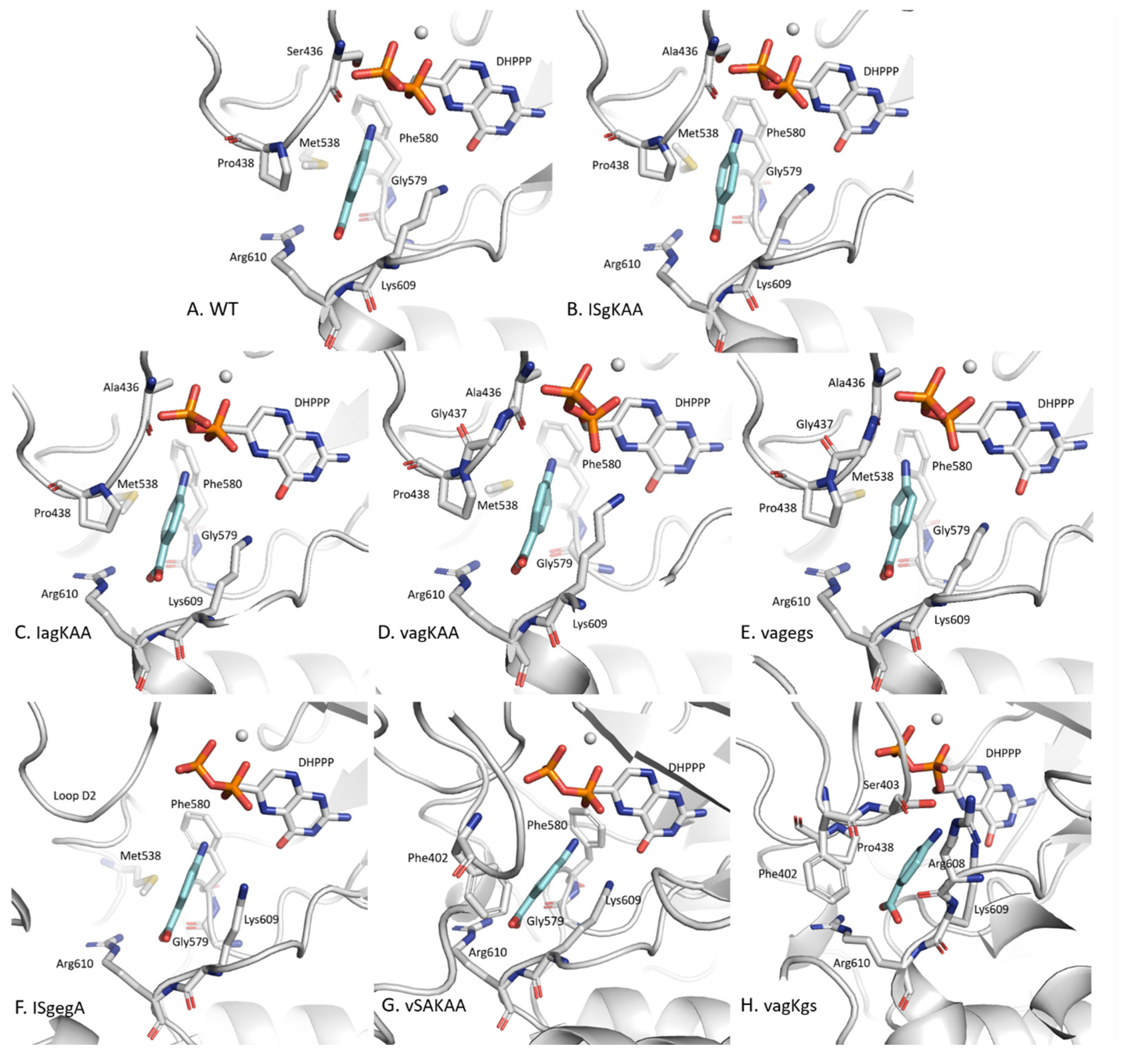 Molecules 30 04118 g004 Molecules 30 04118 g004