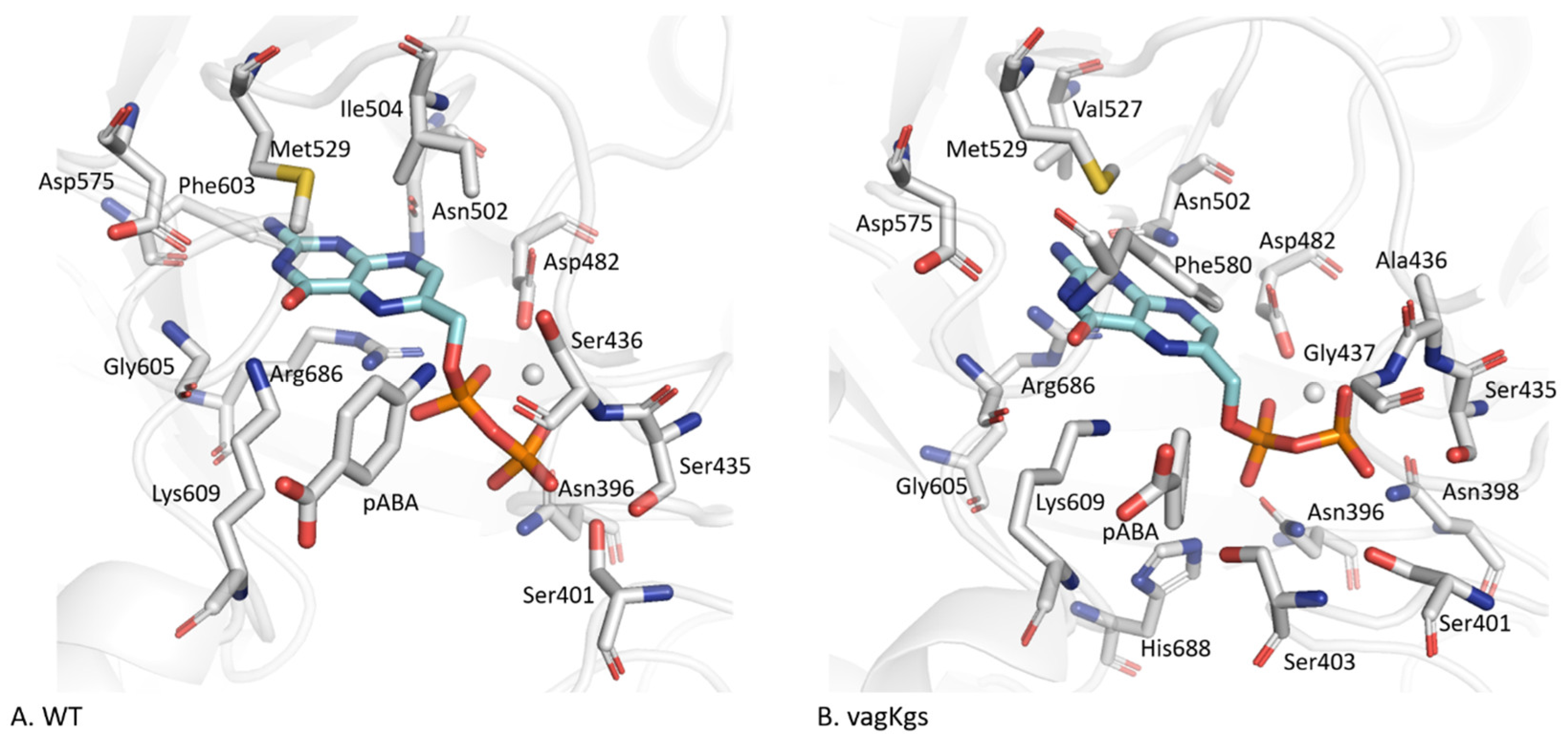 Molecules 30 04118 g005 Molecules 30 04118 g005