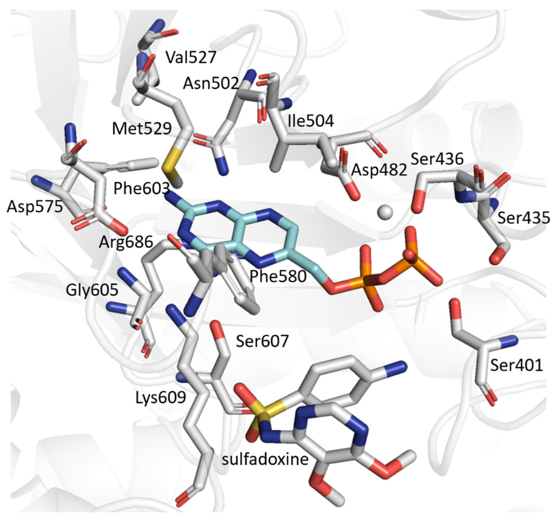 Molecules 30 04118 g007 Molecules 30 04118 g007
