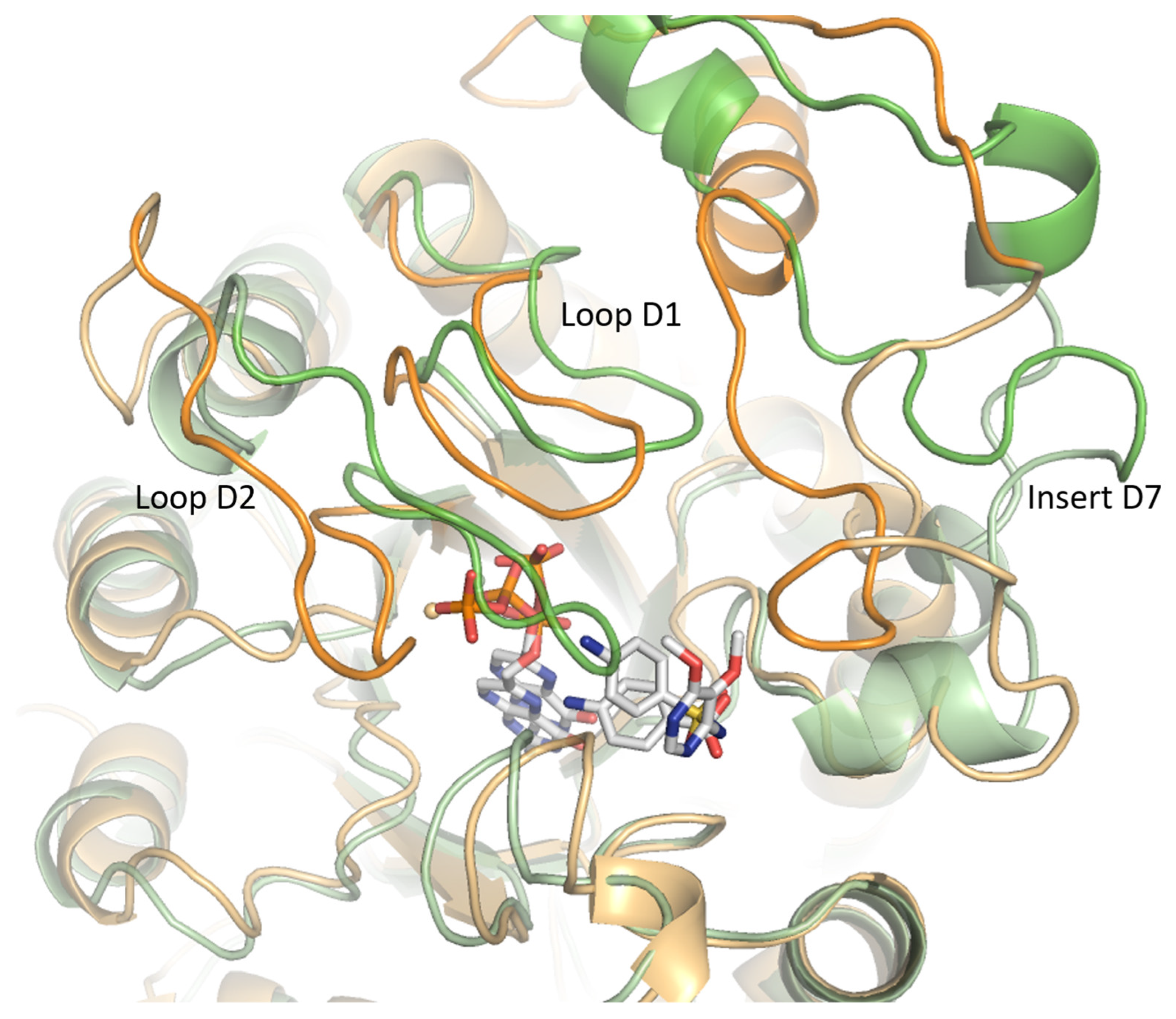 Molecules 30 04118 g008 Molecules 30 04118 g008