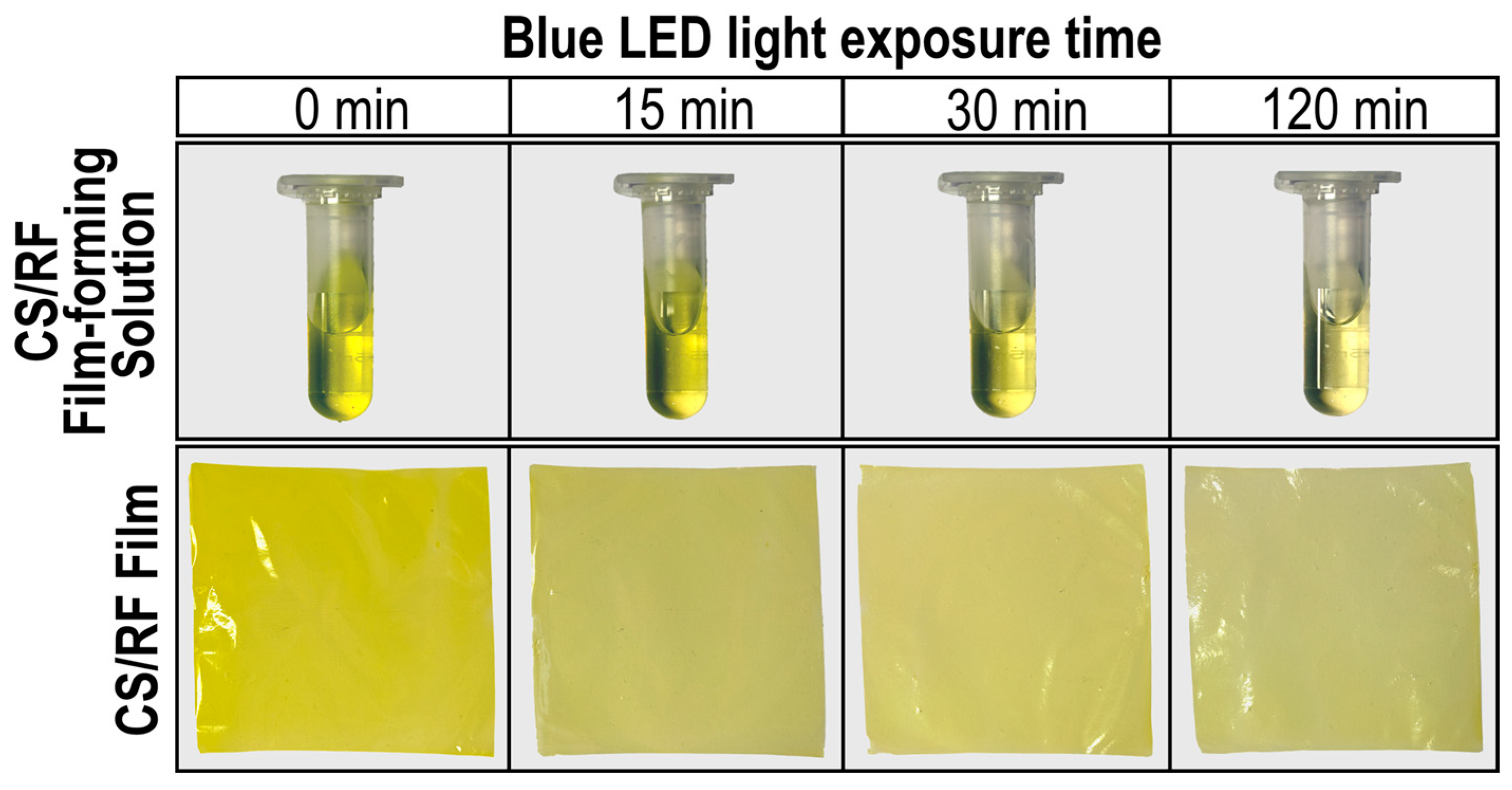 Molecules 30 04166 g004 Molecules 30 04166 g004