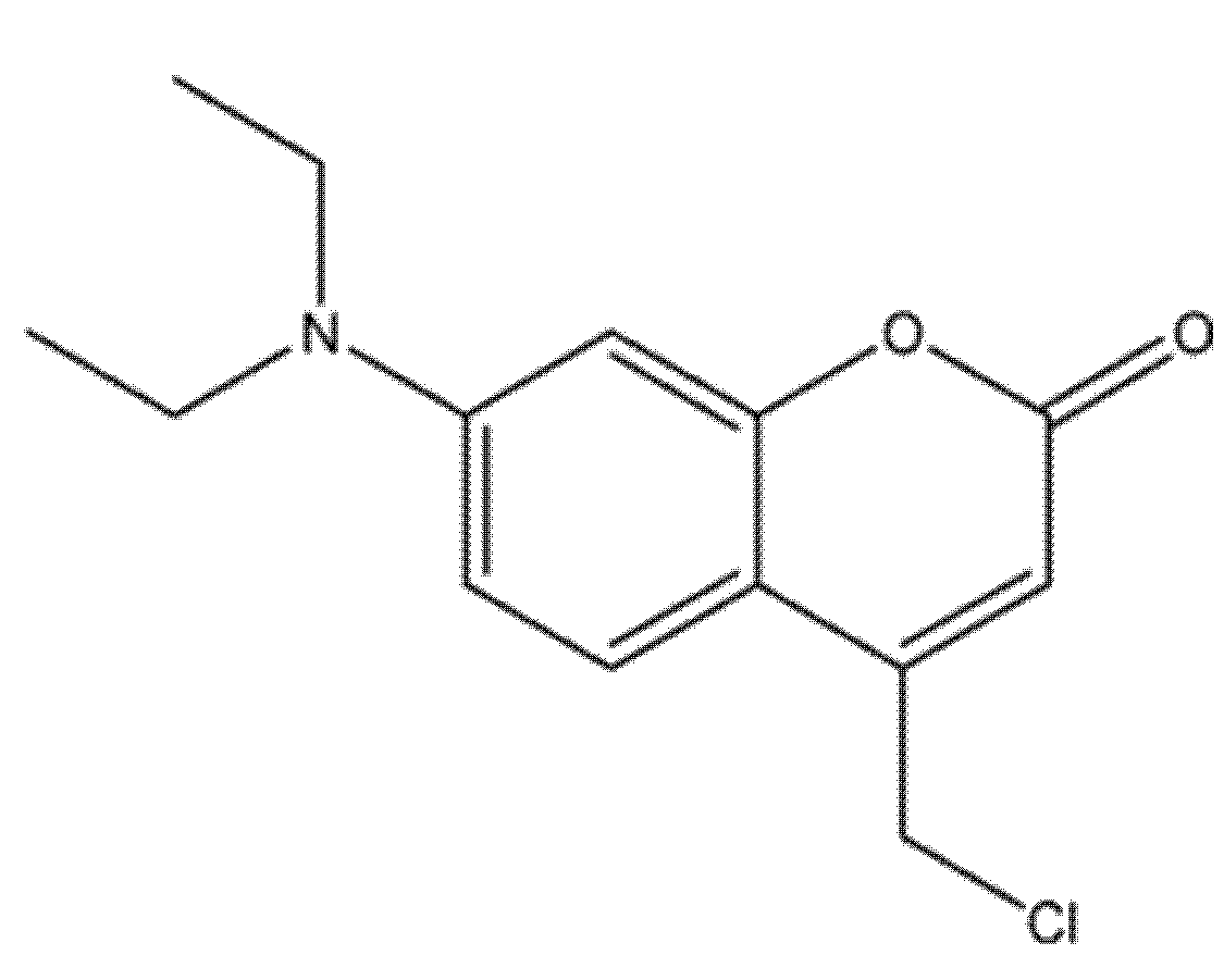 Molecules 30 04167 g033 Molecules 30 04167 g033