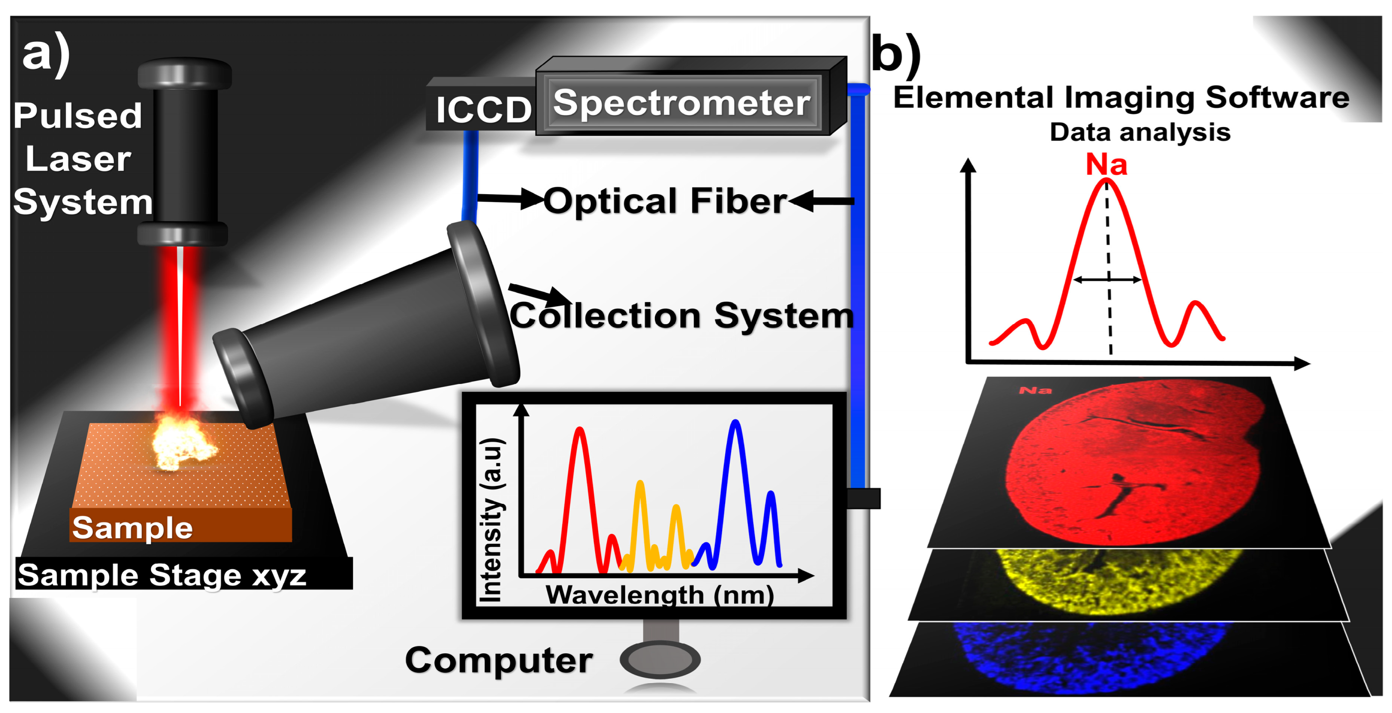 Molecules 30 04176 g002 Molecules 30 04176 g002