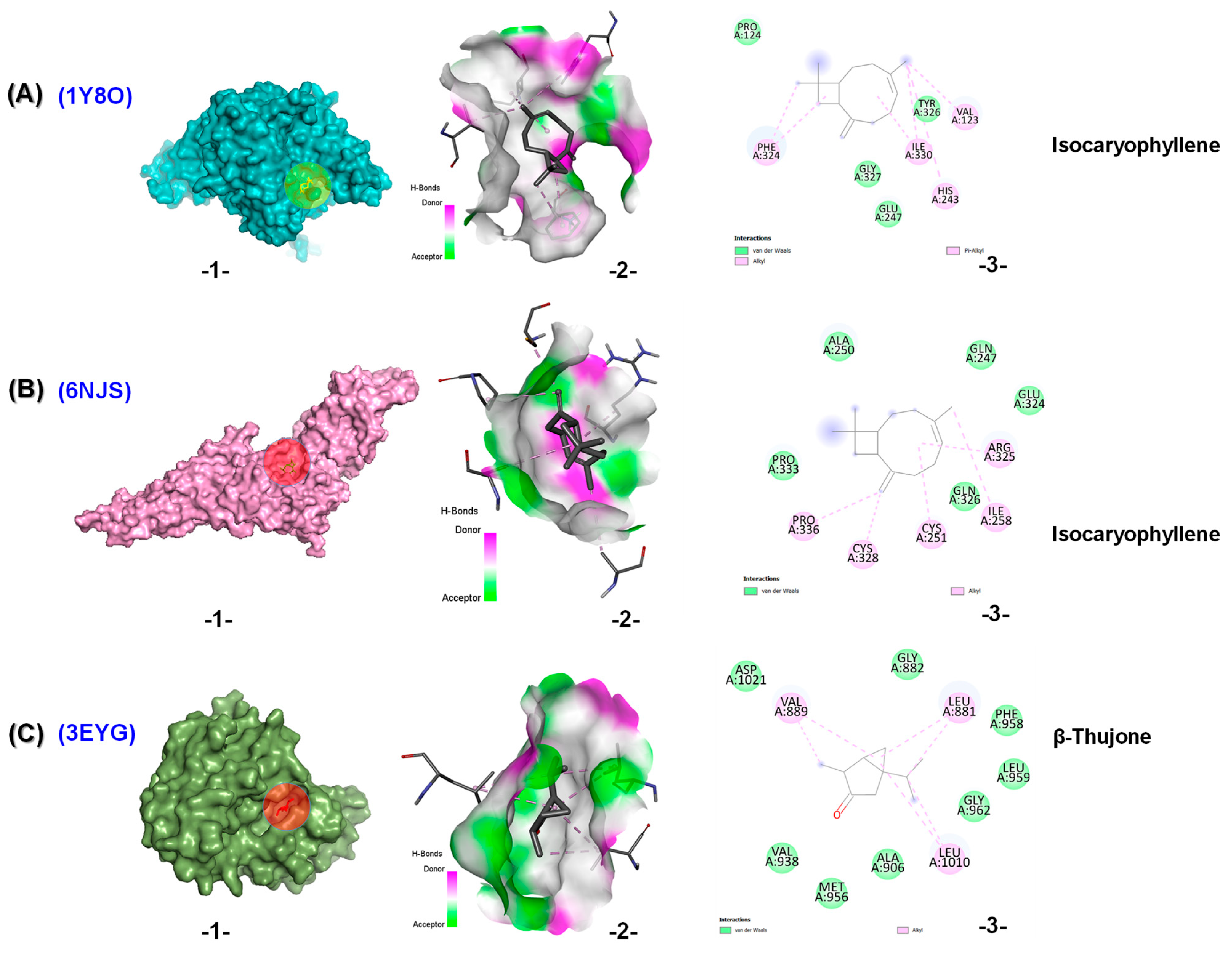 Molecules 30 04182 g005 Molecules 30 04182 g005