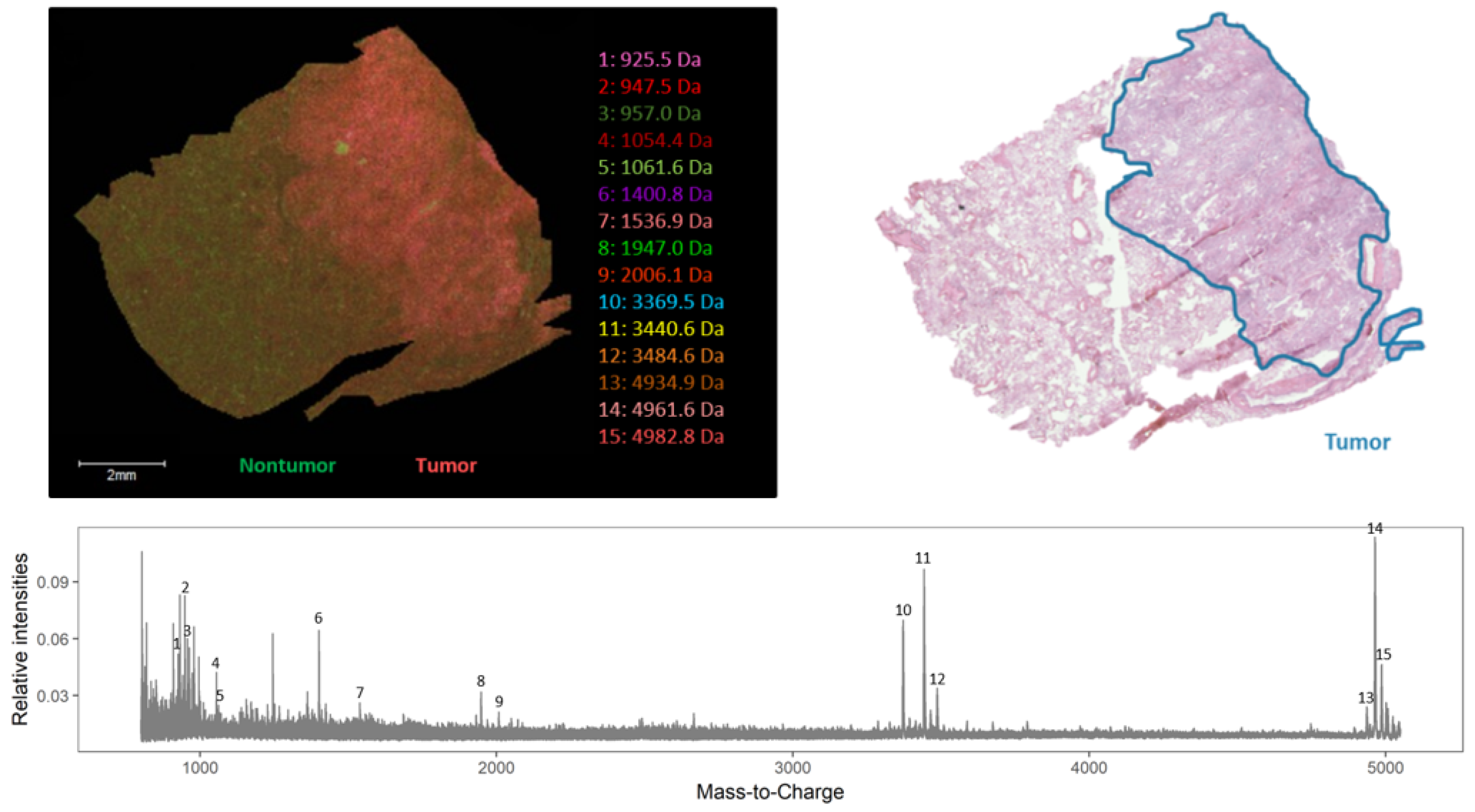 Mps 02 00044 g004 Mps 02 00044 g004