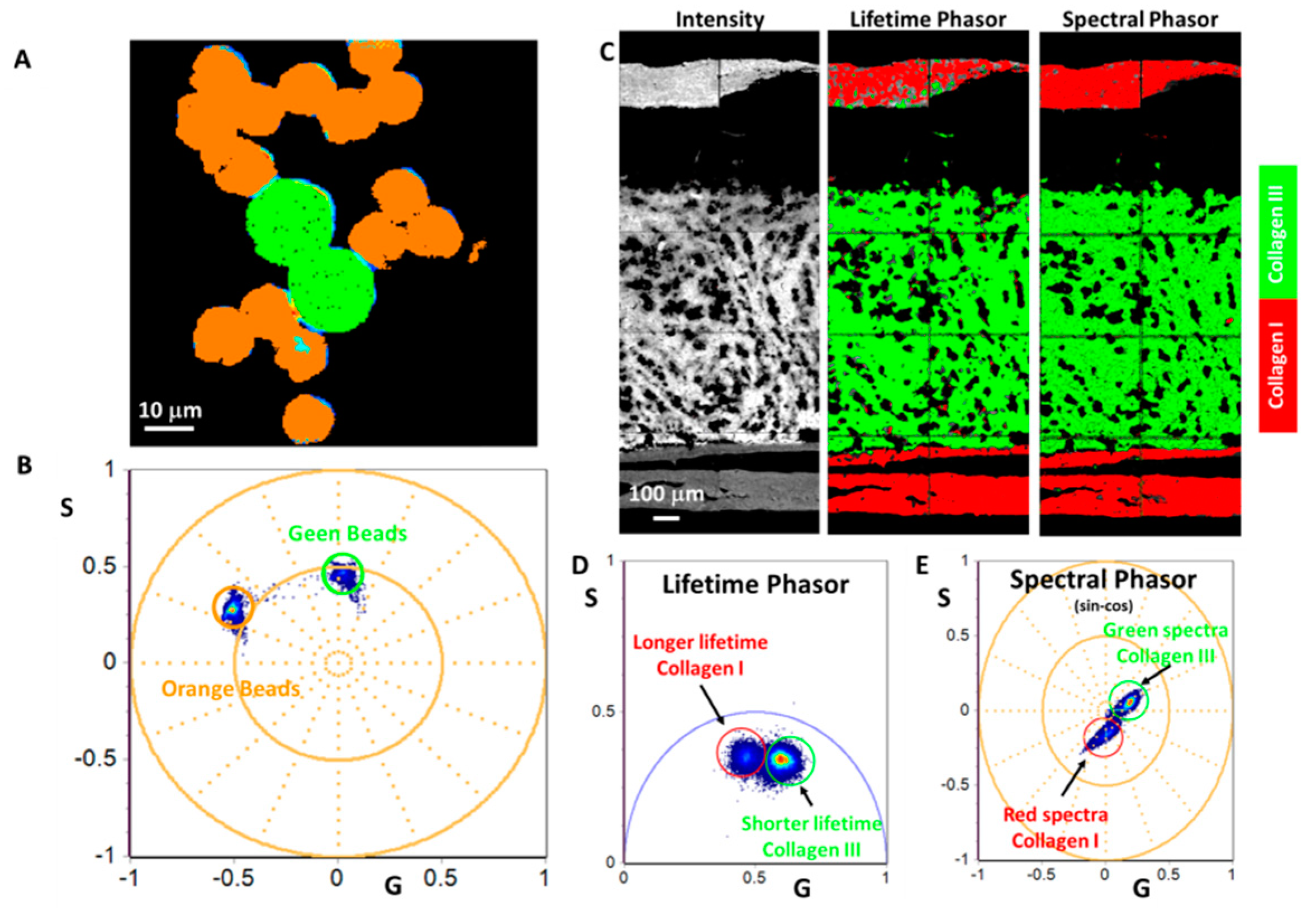 Mps 02 00053 g009 Mps 02 00053 g009