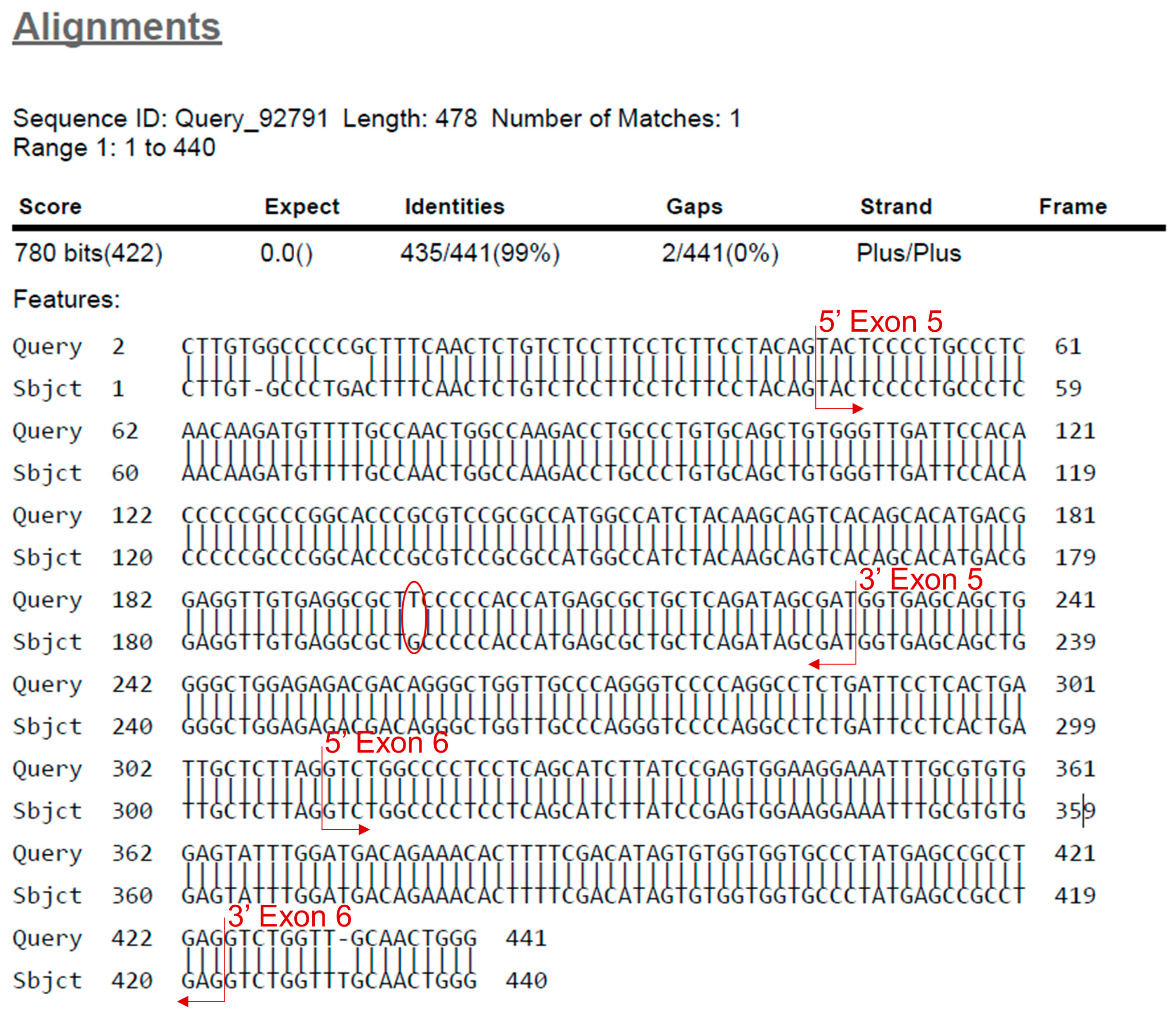 Mps Free Full Text Characterising Mutational Spectra Of Carcinogens In The Tumour Suppressor Gene Tp53 Using Human Tp53 Knock In Hupki Mouse Embryo Fibroblasts Html