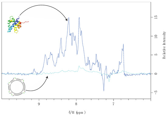 MPs Free Full Text Quantitative Studies on the Interaction