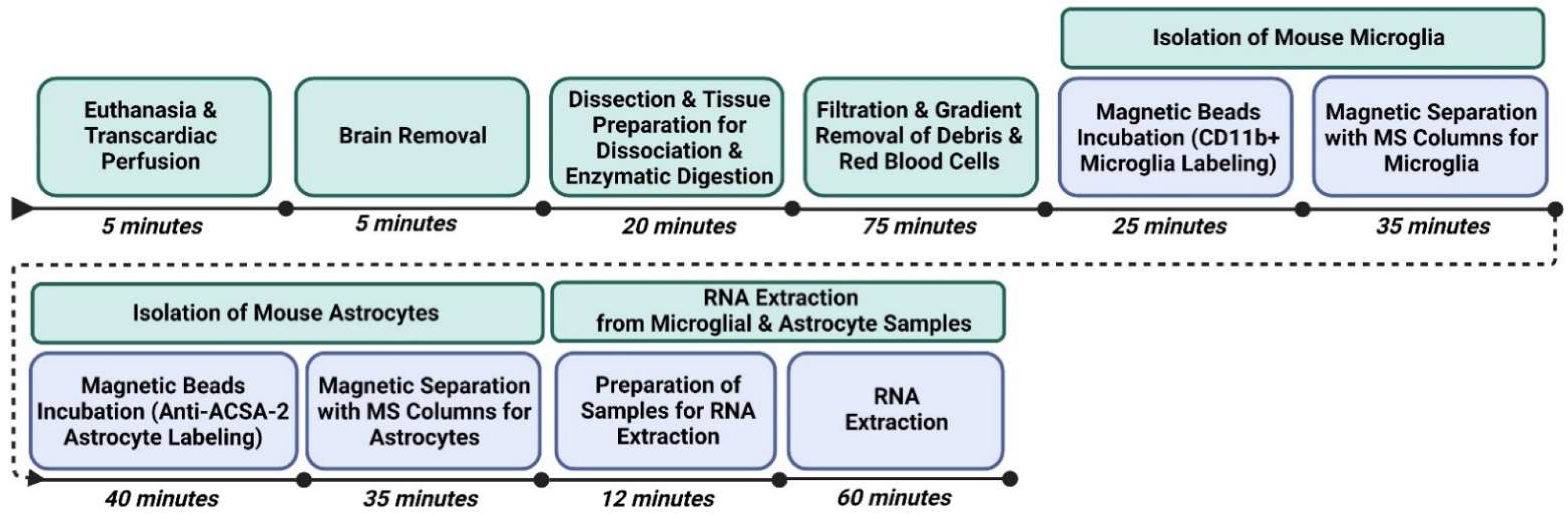 Mps 05 00077 g001 Mps 05 00077 g001