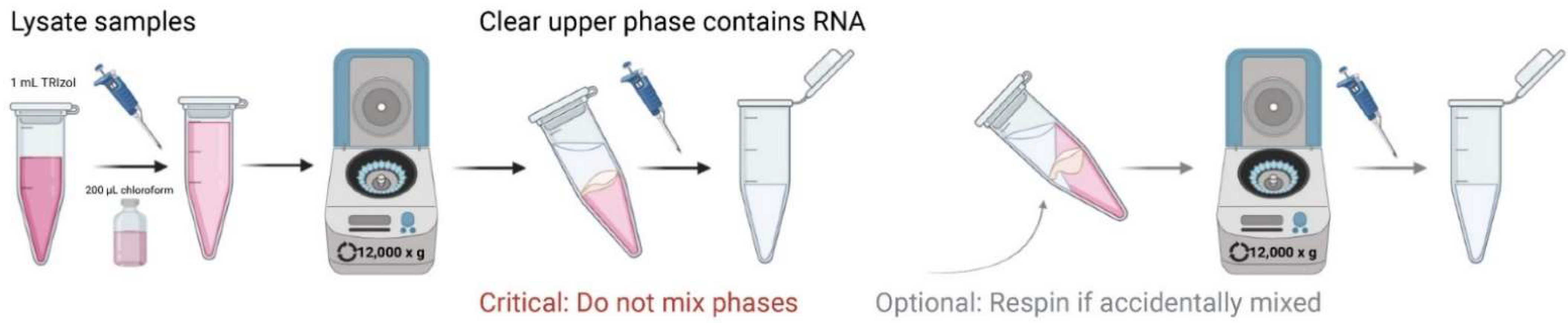 Mps 05 00077 g005 Mps 05 00077 g005