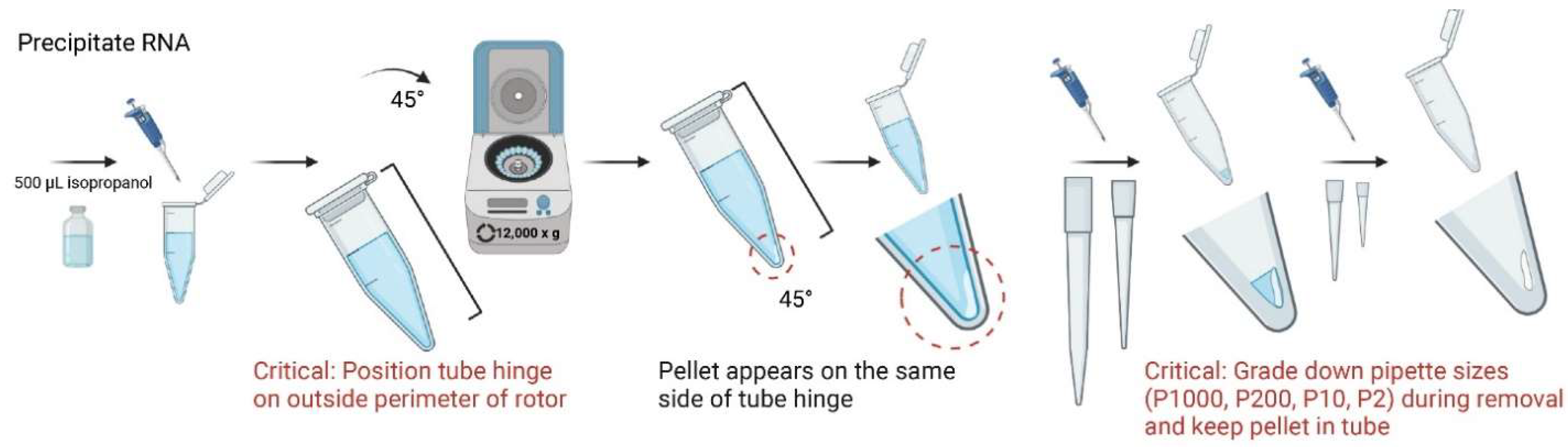 Mps 05 00077 g006 Mps 05 00077 g006